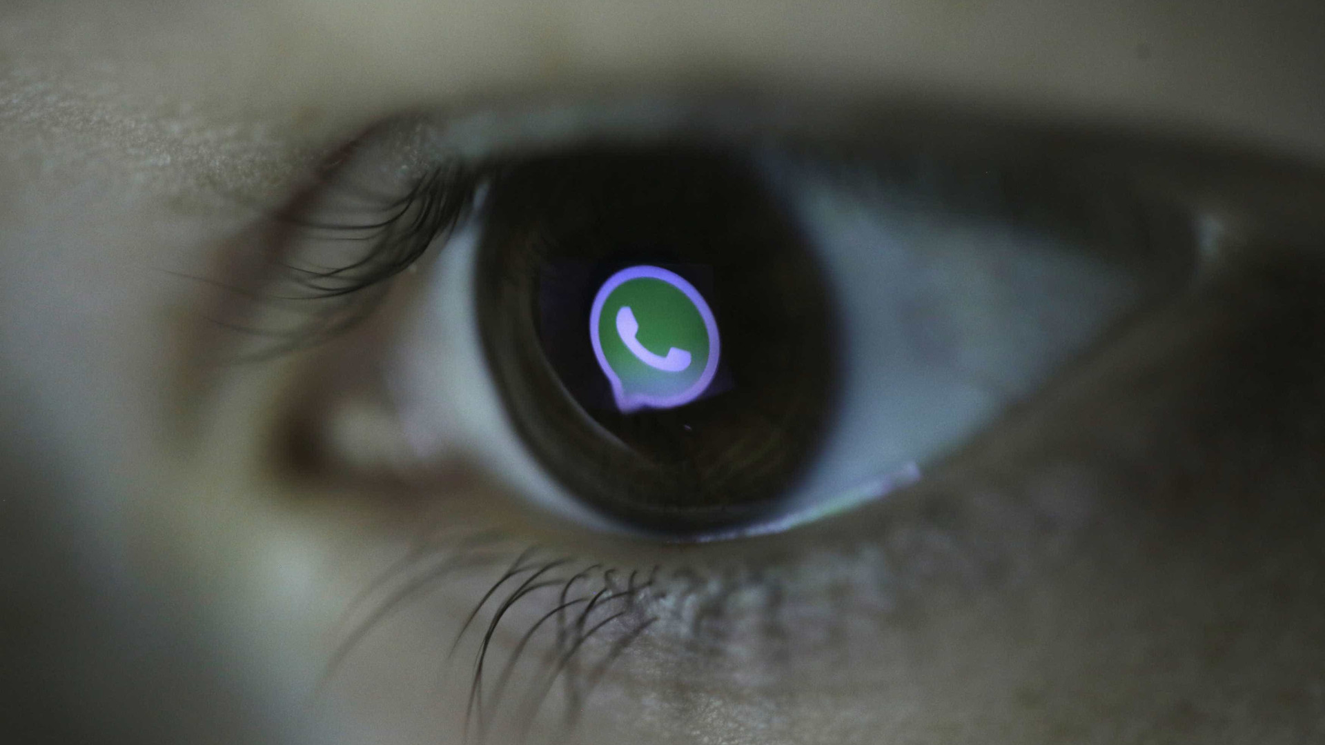 WhatsApp é menos seguro do que imagina, dizem investigadores