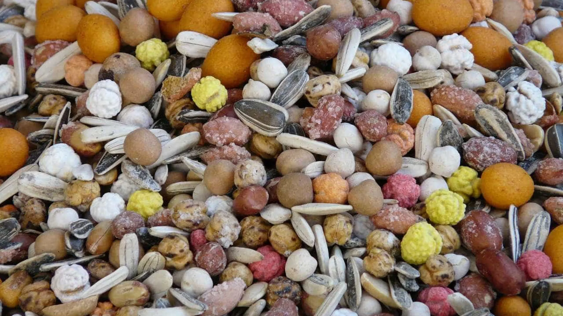Frutos secos são o melhor 'snack' de sempre. Descubra-os