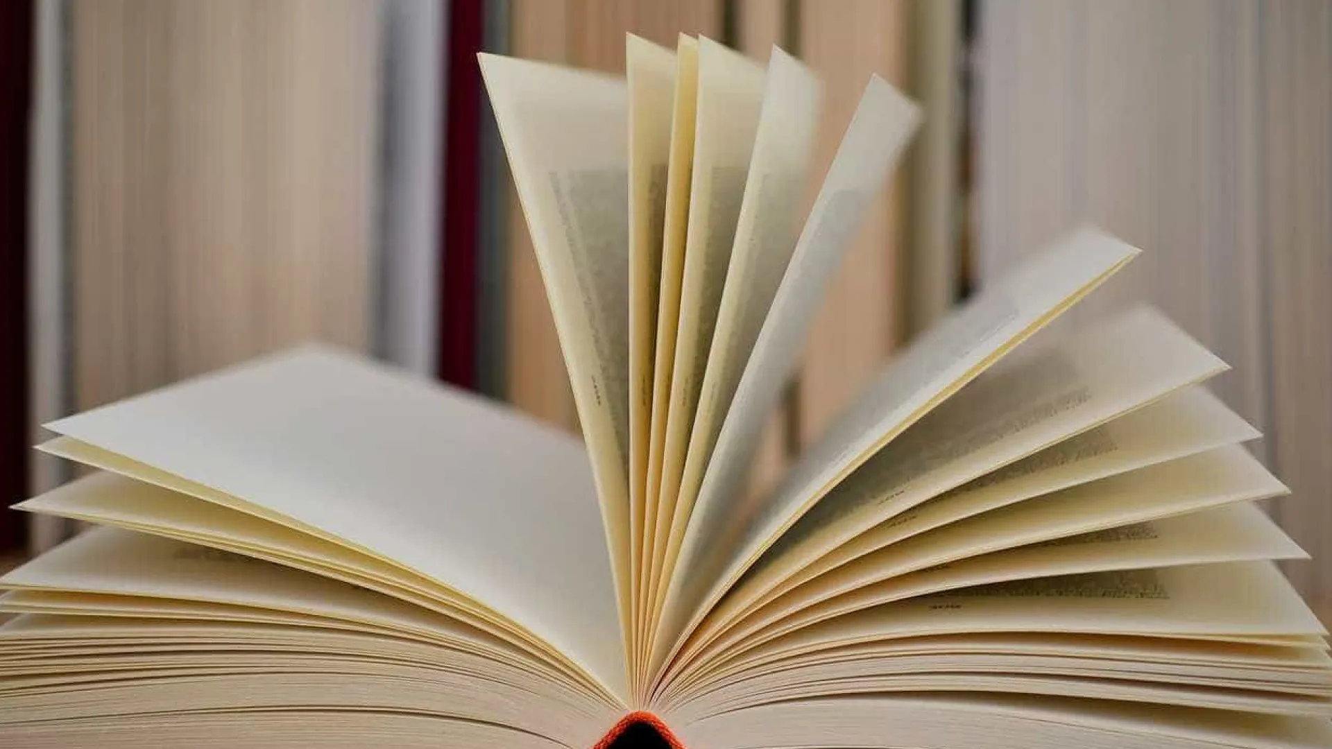 25 de Novembro: Livro reflete sobre divisões que permanecem na sociedade