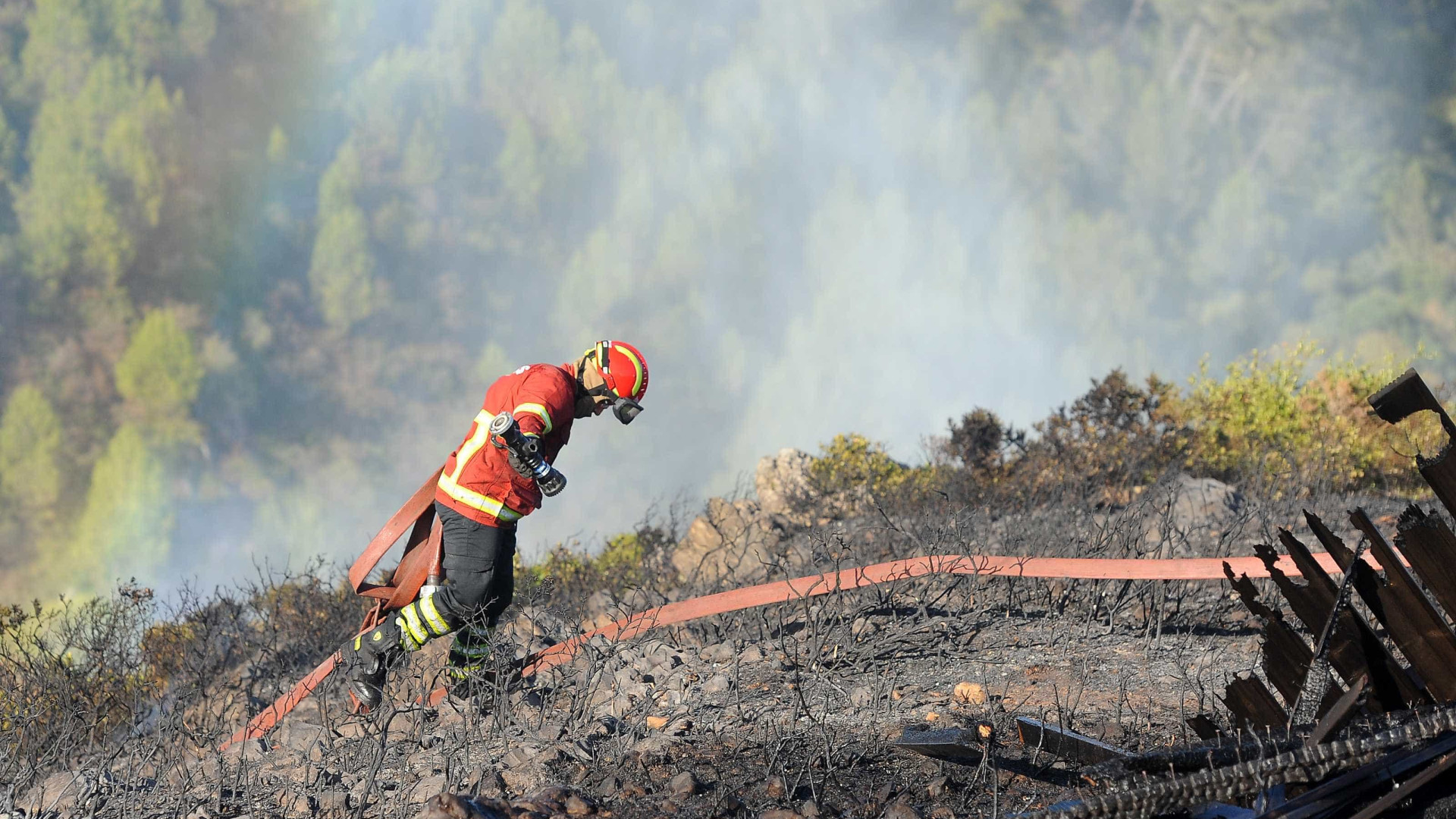 Fogo deflagrou em Pinhel, mas já está em rescaldo e vigilância
