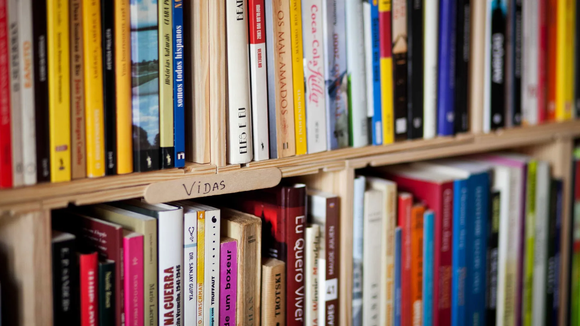 
                    Sem ideias? Dez livros para devorar este inverno (ou meter no sapatinho)
                