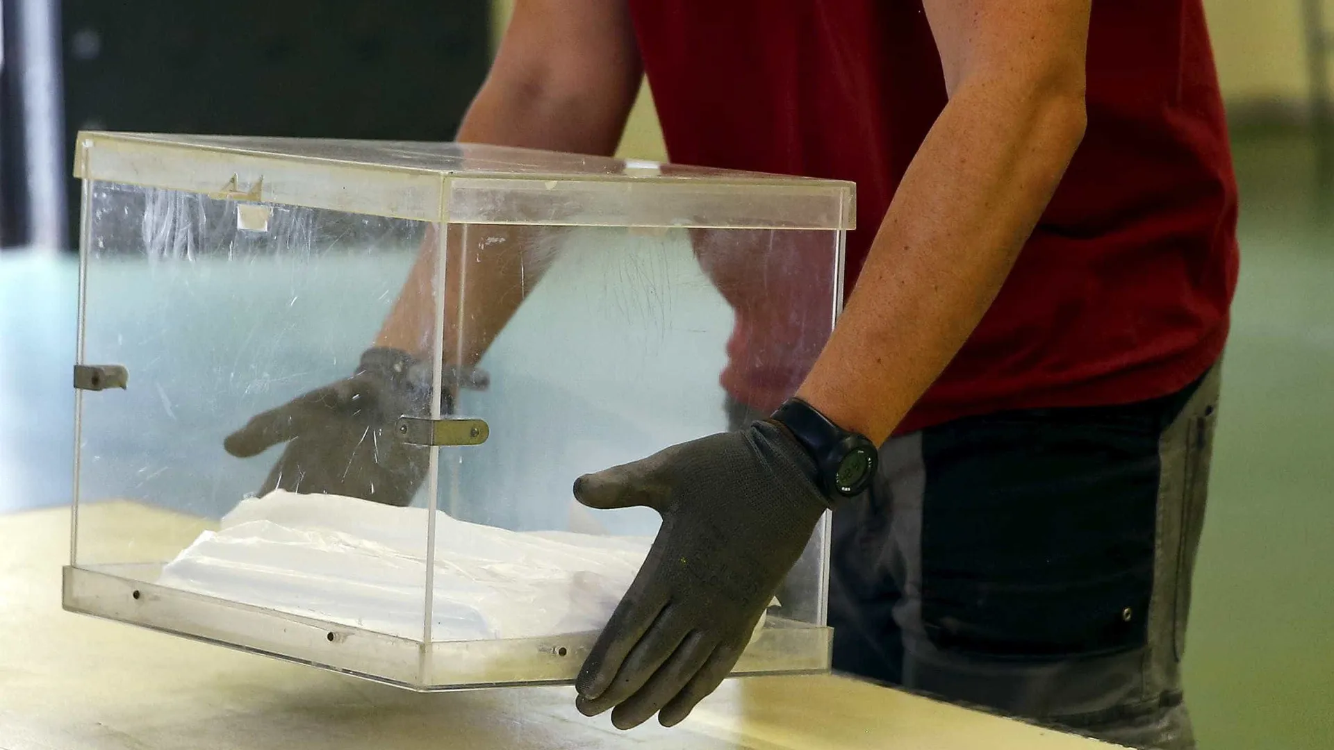 
                    Voto antecipado em Leiria e Coimbra mantém-se após Kristin? CNE esclarece
                