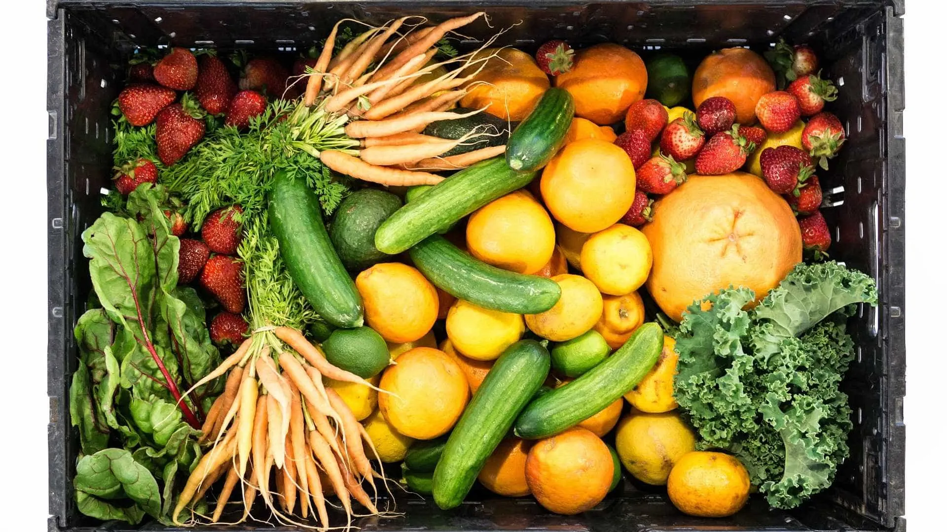 Livro de nutrição oncológica chega a Portugal em dezembro
