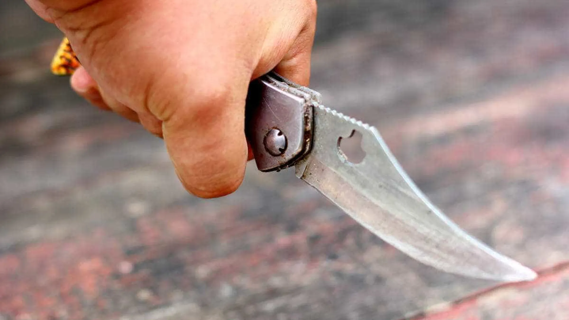 
                    Quatro mortos em ataque à faca perto de Seattle. Suspeito foi abatido 
                