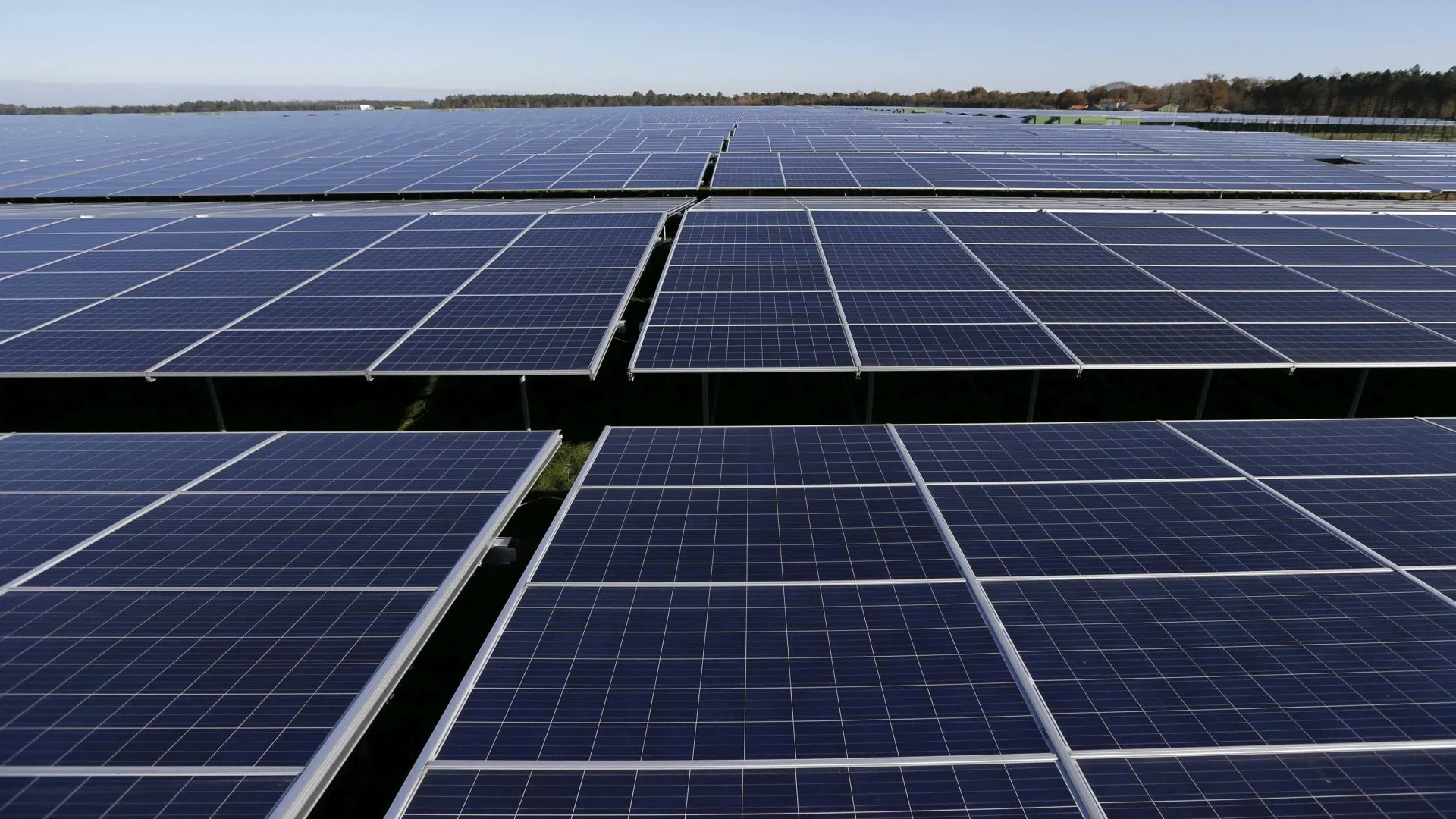 
                    Central fotovoltaica ameaça projetos de quem escolheu Beira Baixa para viver
                