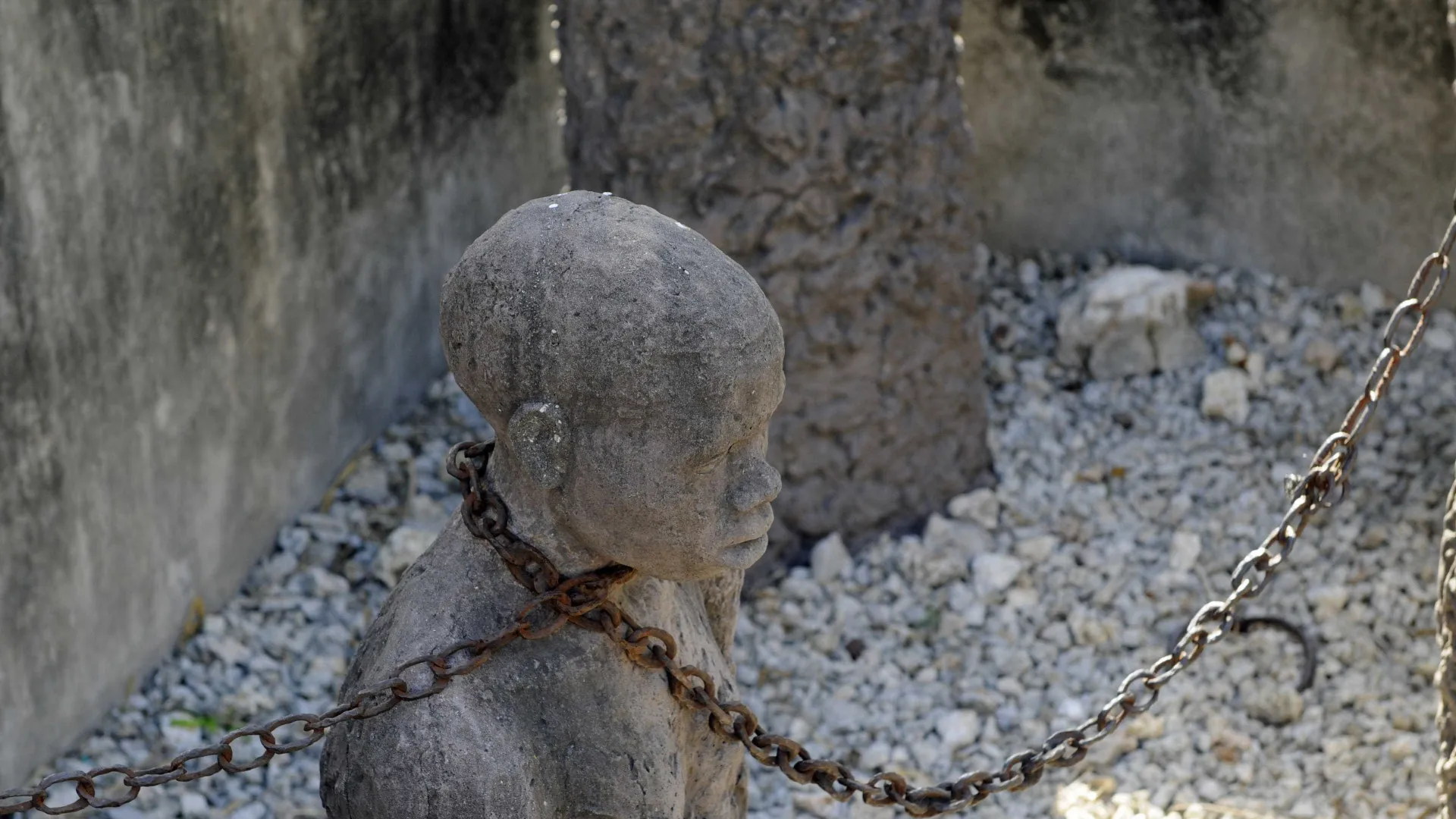 
                    AI congratula-se com o reconhecimento da escravatura como 