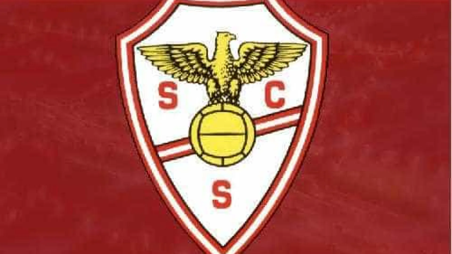 E agora? Salgueiros anunciou estádio mas falta "análise técnica completa"