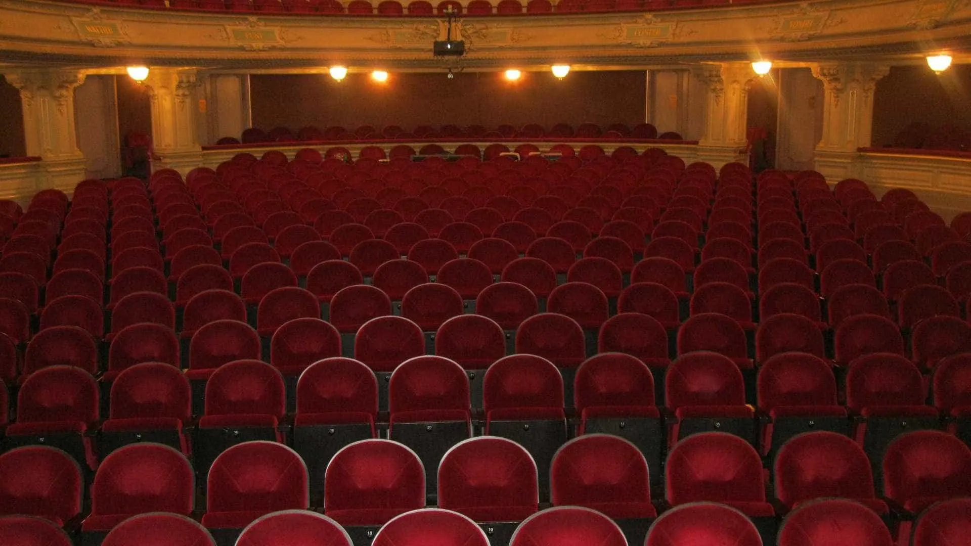 
                    Espetáculo solidário por 