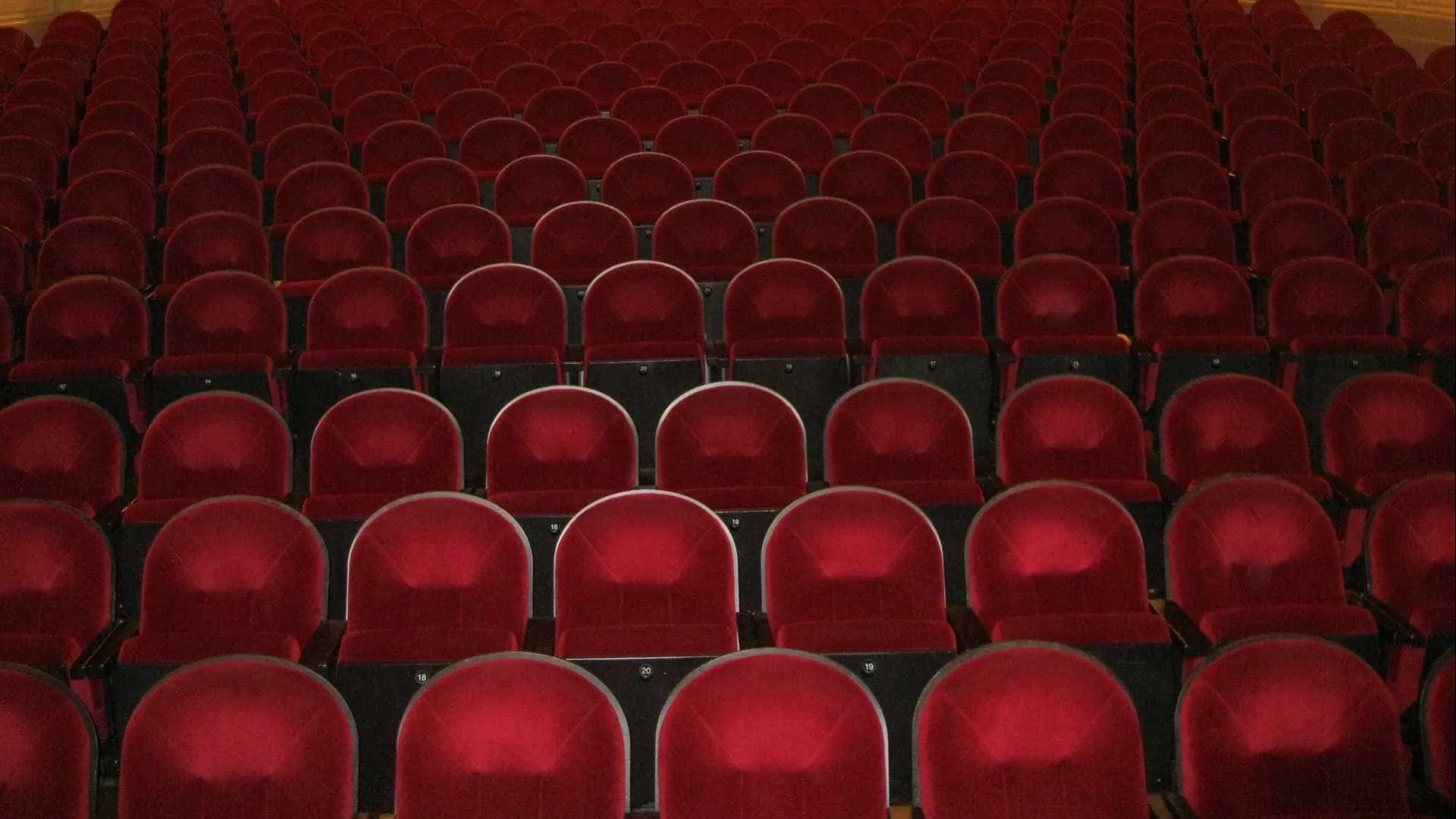 
                    Espetáculo solidário 