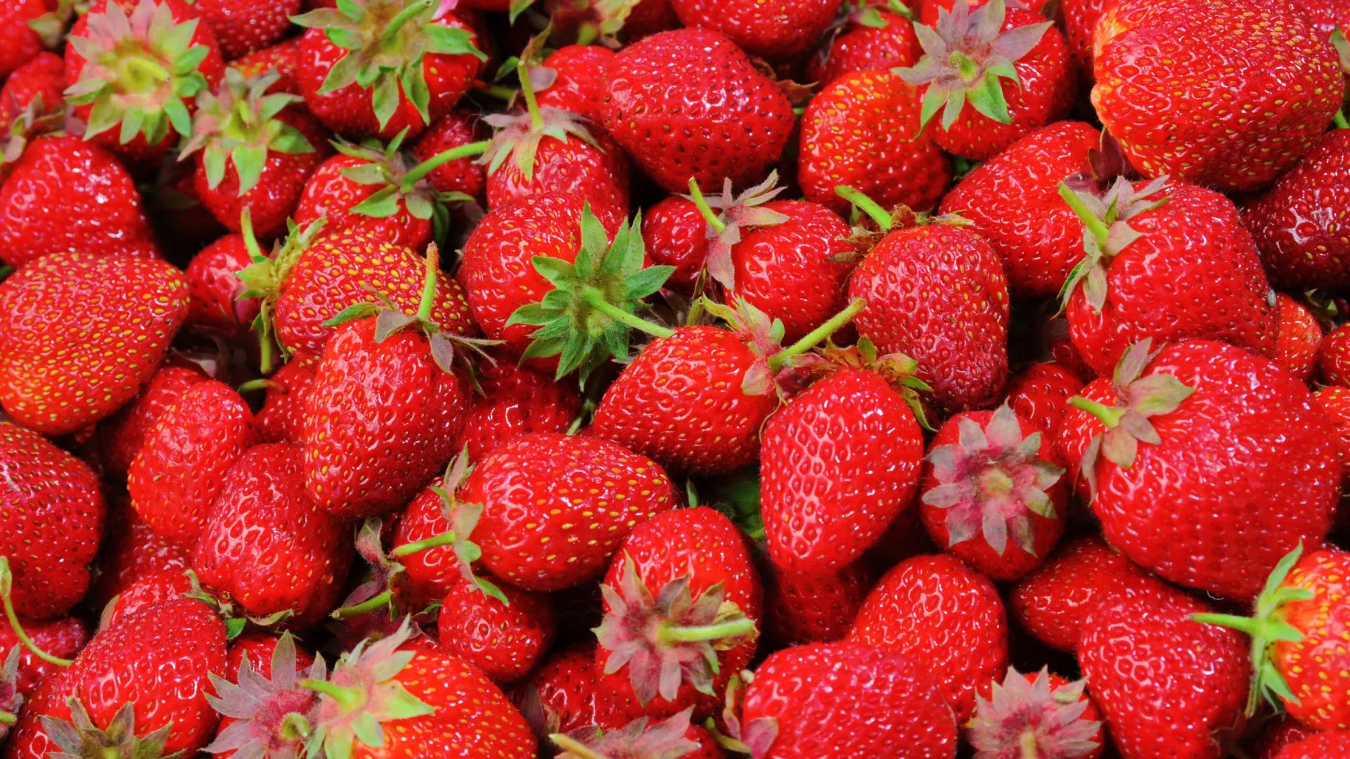 Seis alimentos que protegem e branqueiam os dentes
