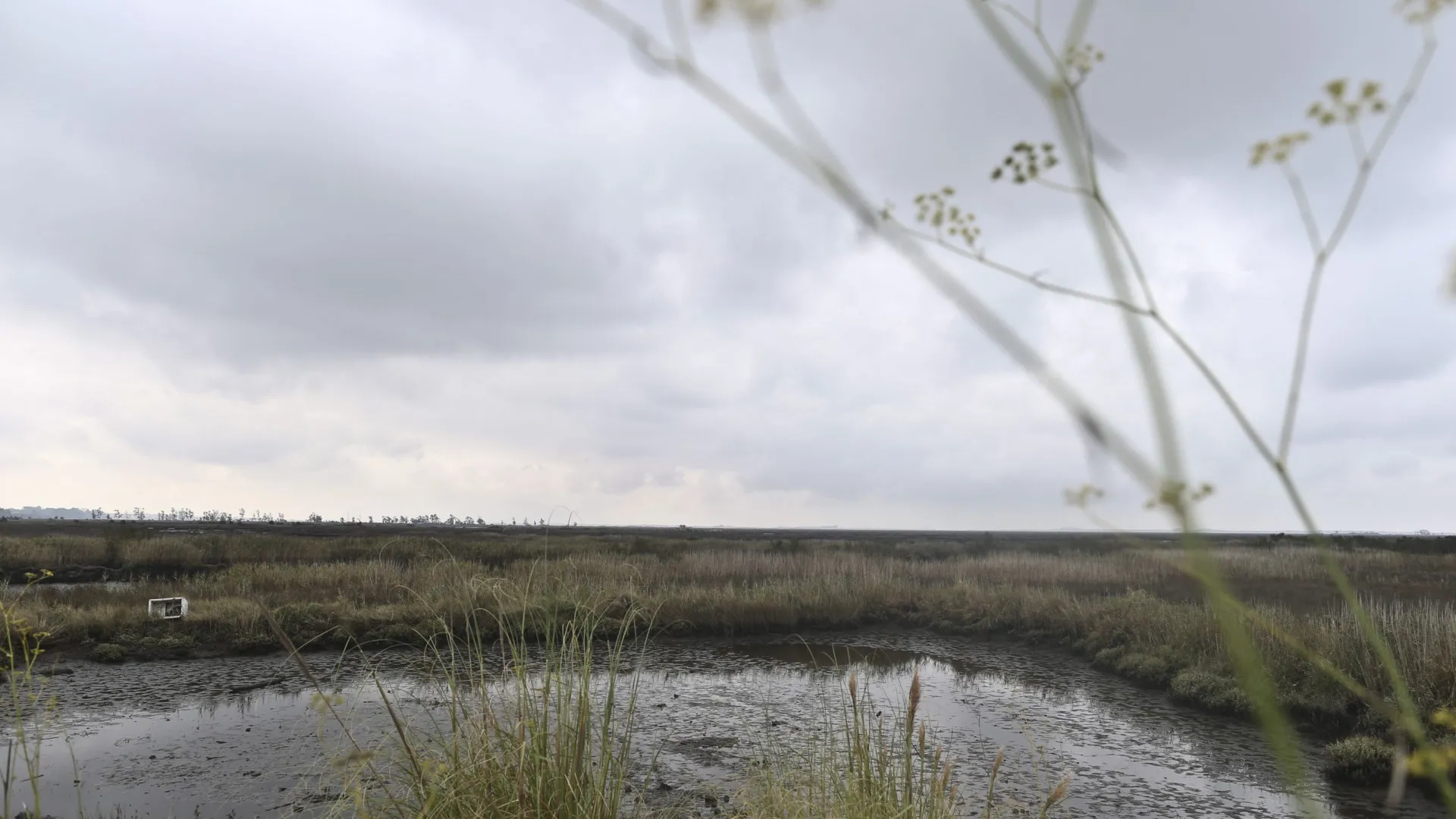 
                    Queda de veículo no rio em Oliveira de Frades mata jovem de 18 anos
                