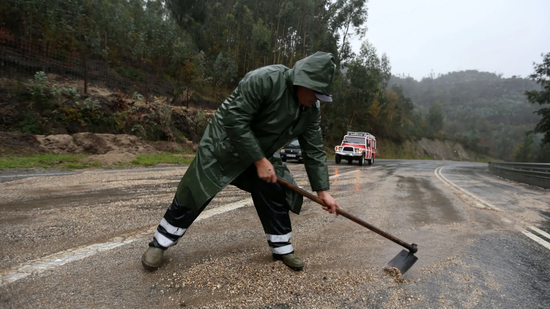 
                    Bruxelas aprova ajudas estatais de 250 milhões para setor florestal cá
                