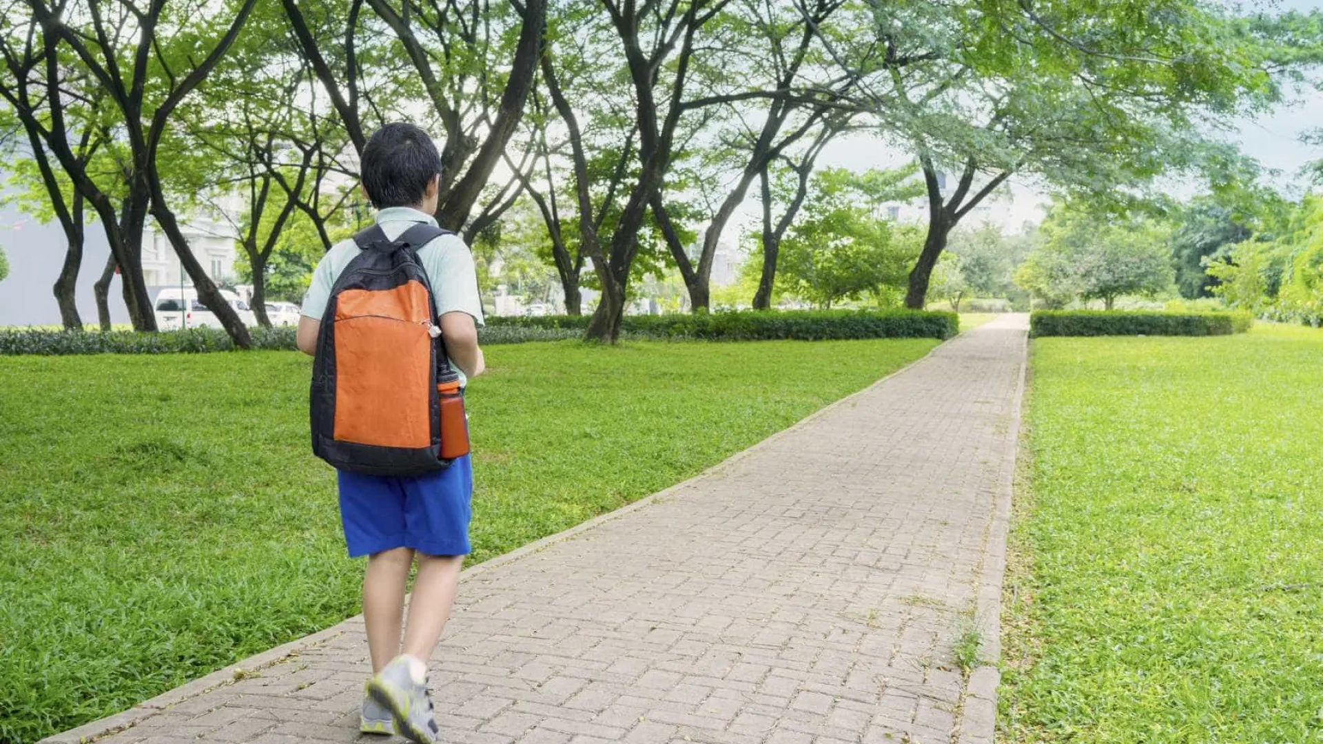 
                    Cinfães. Polícia bateu na mesa: 
