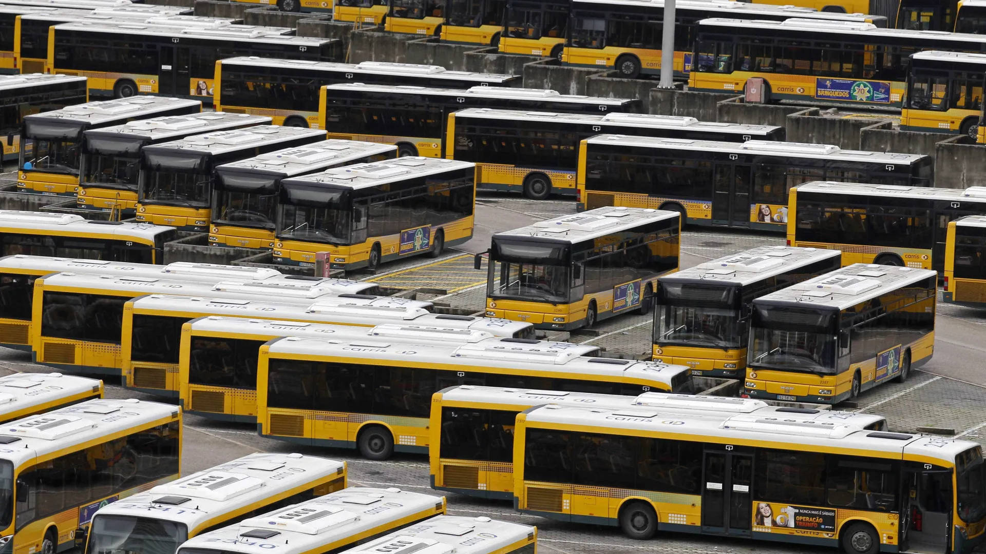 
                    Câmara de Lisboa aprova Rui Lopo para presidir à Carris sob críticas
                