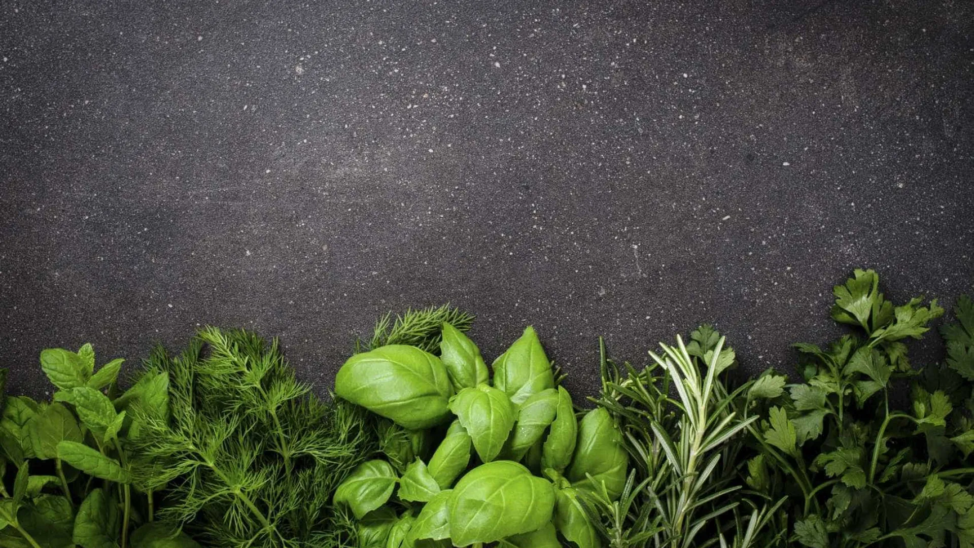 Os truques usados por chefs para as ervas frescas durarem semanas