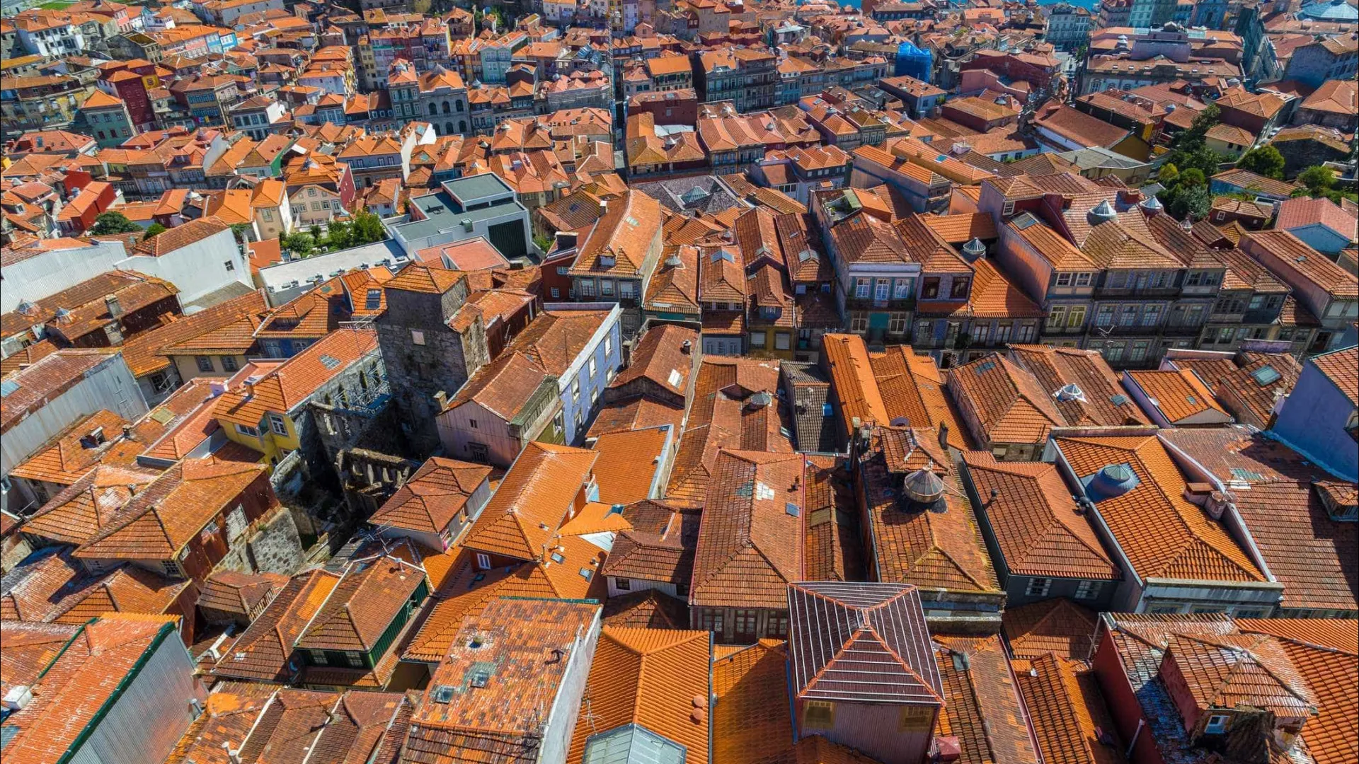 Livre quer 30% de casas no Porto
