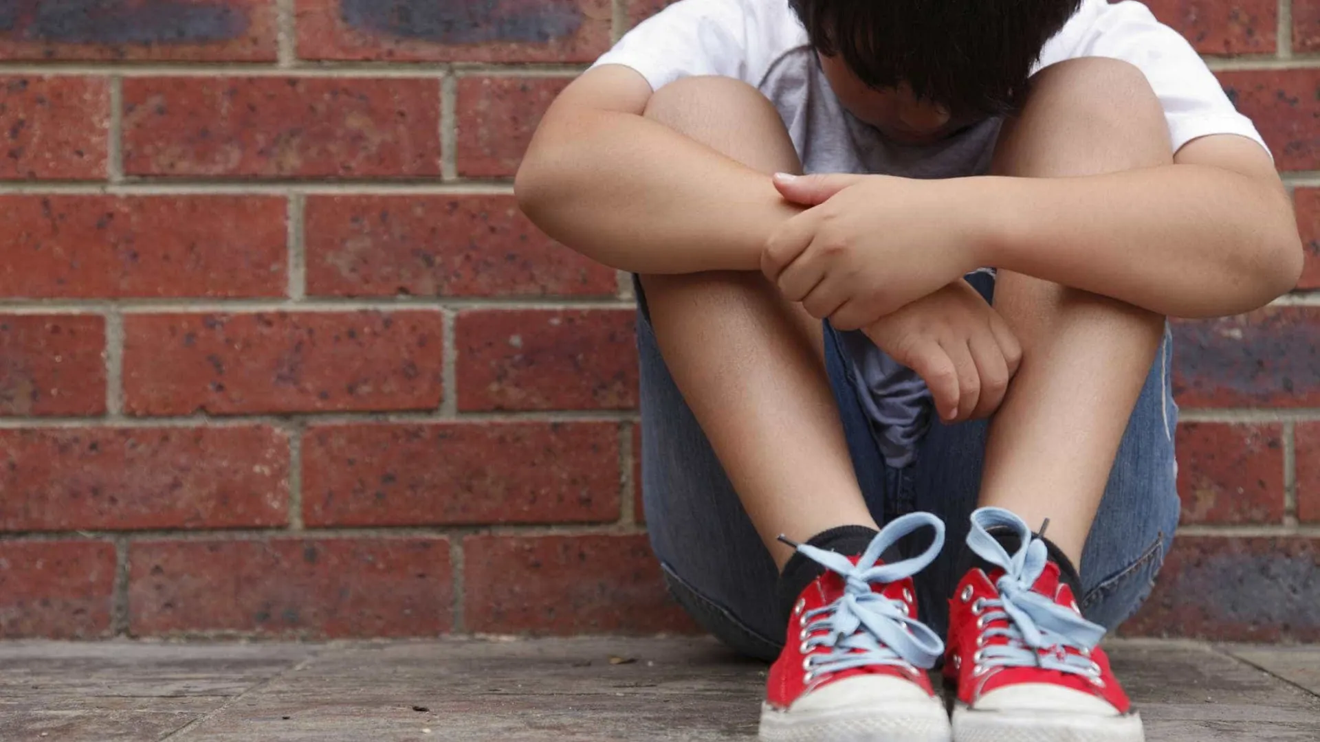 
                    Organizações da sociedade civil pedem resposta a violência nas escolas
                