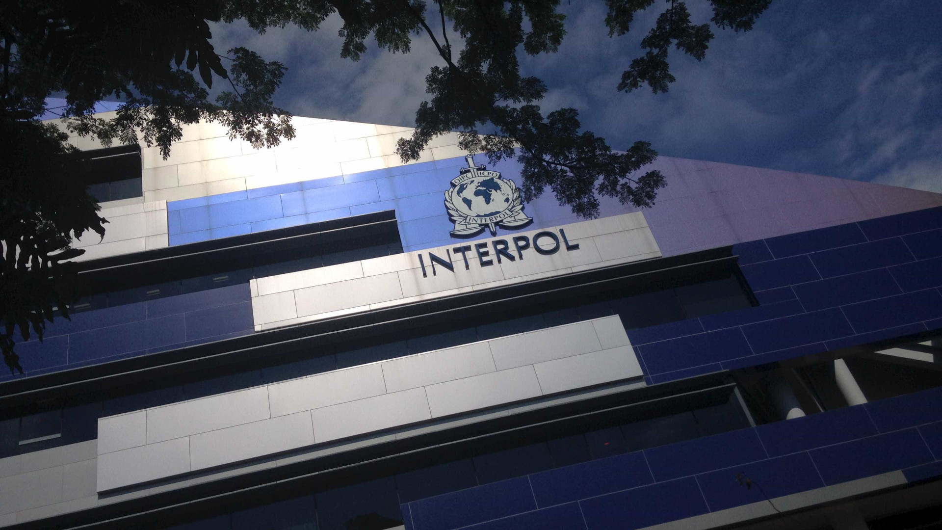 Mais de 100 detidos em operação da Interpol contra a máfia de 'Ndrangheta