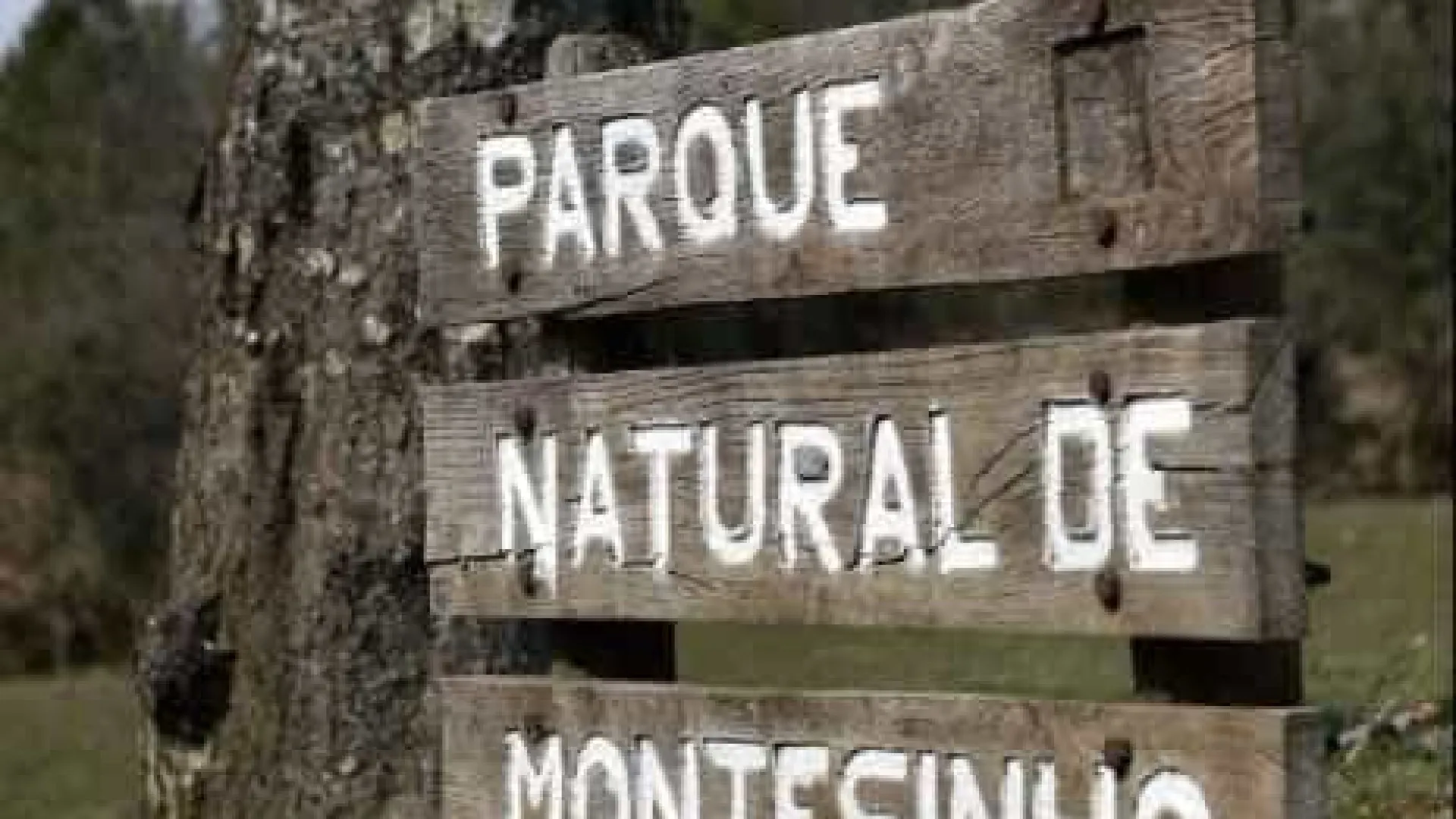 
                    Paisagem do Parque Natural de Montesinho abraça música erudita
                