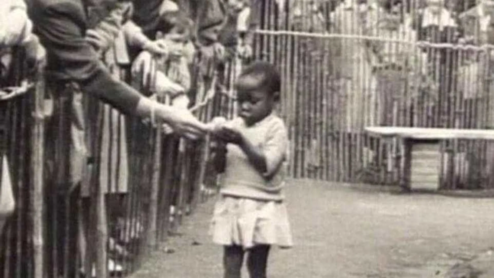 Fotografias chocantes dos 'zoológicos humanos' do início do século XX