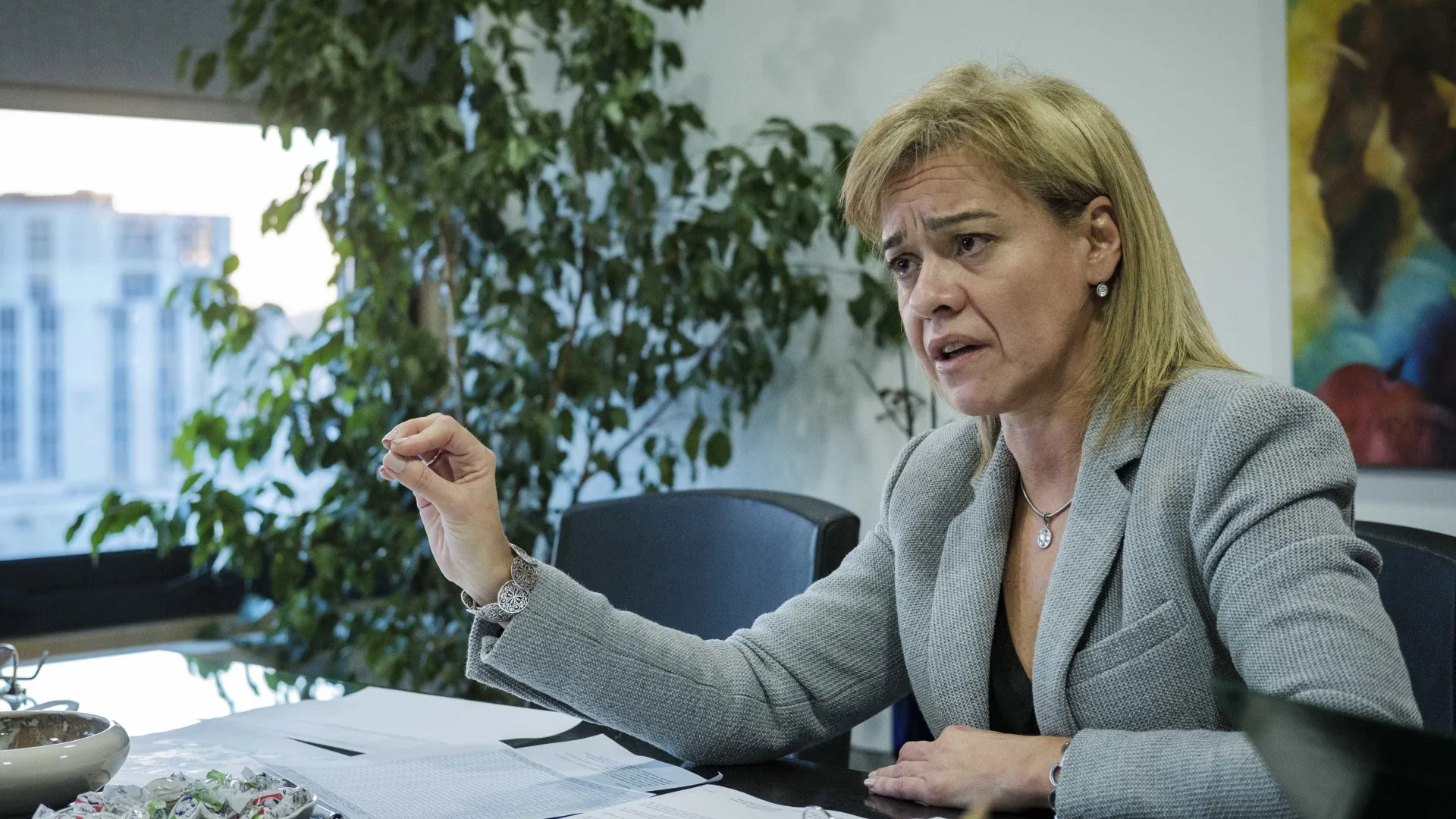 
                    Eurodeputada do PS rejeita proposta de Bruxelas para orçamento da UE
                