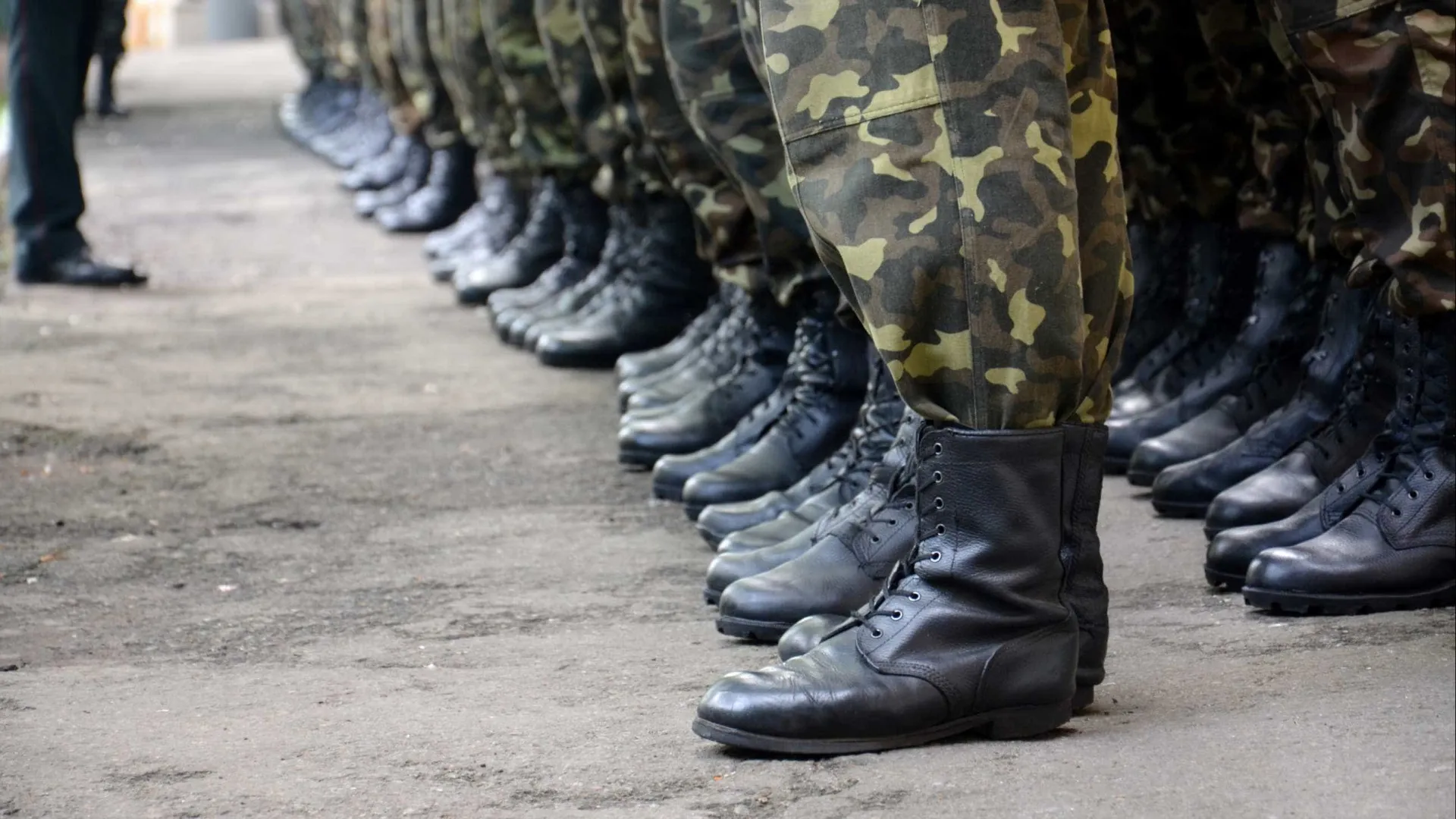 
                    Oito em dez europeus apoiam política de defesa comum da UE
                