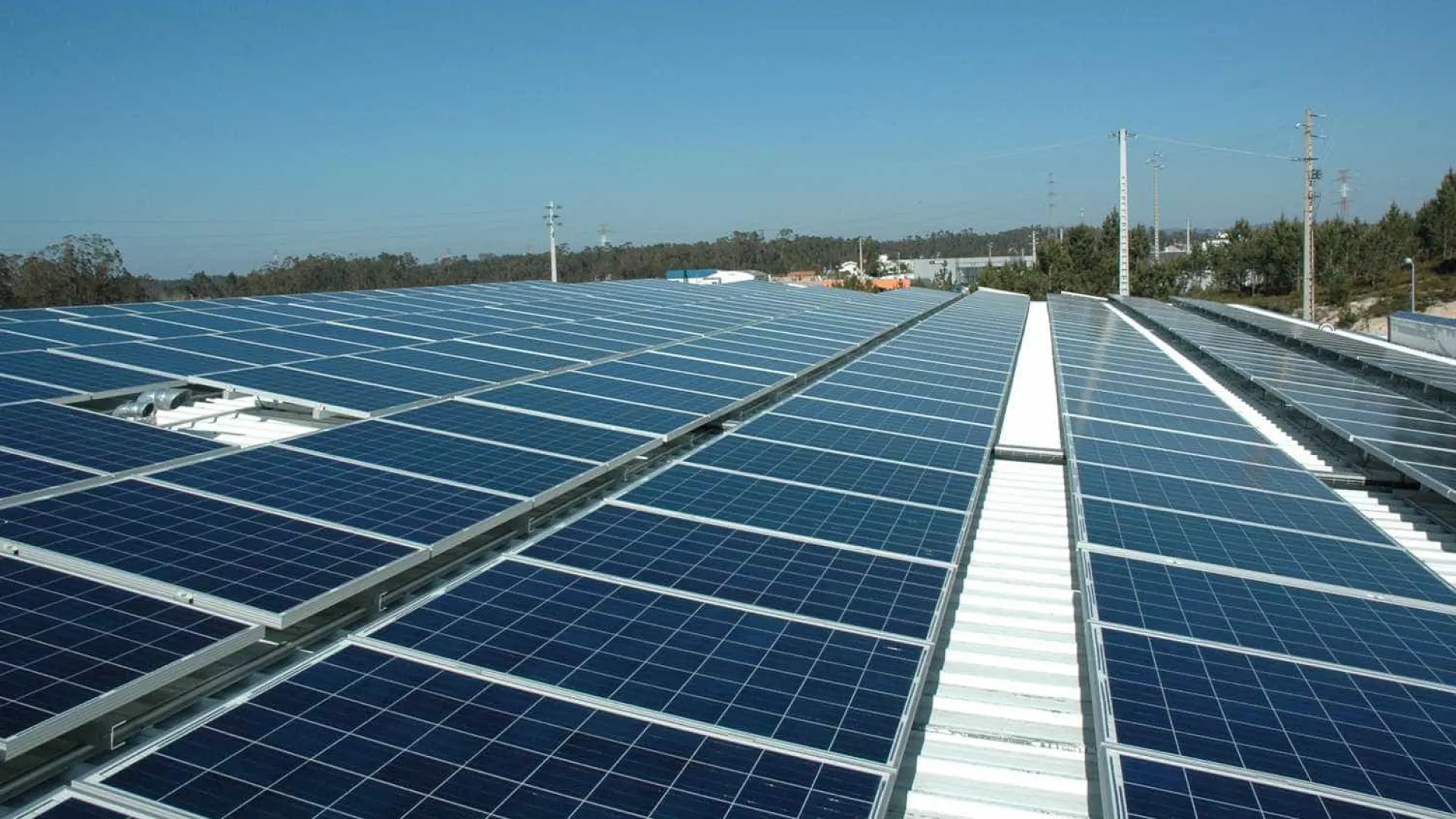 
                    Cerca de 800 painéis solares destruídos em empresa na Figueira da Foz
                