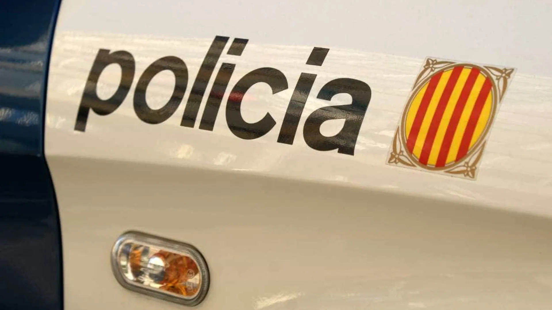 
                    Barcelona: Quinze motoristas detidos por transportarem migrantes ilegais
                