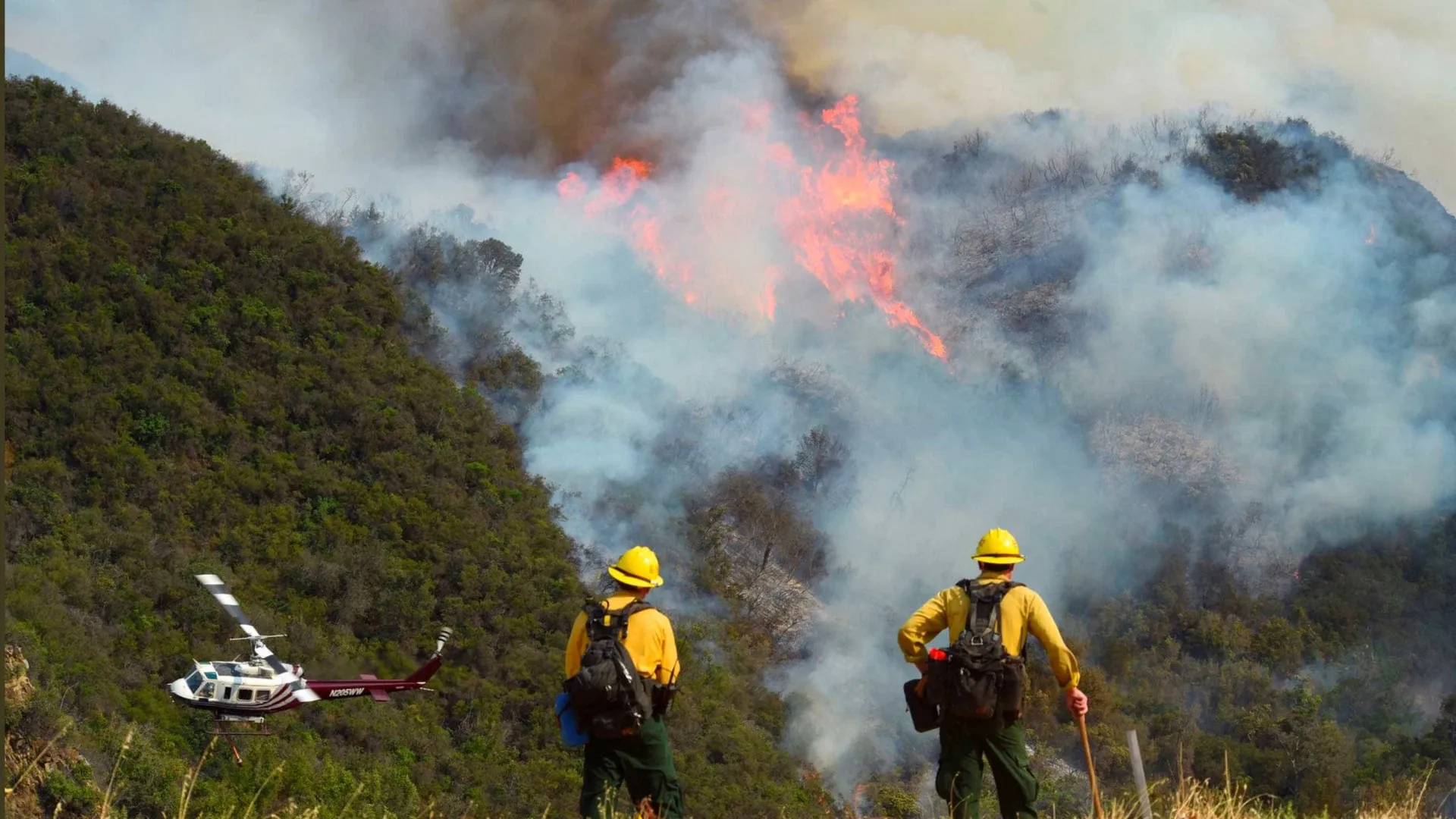 
                    Incêndios de 2023 no Canadá contribuíram para a morte de 70.000 pessoas
                