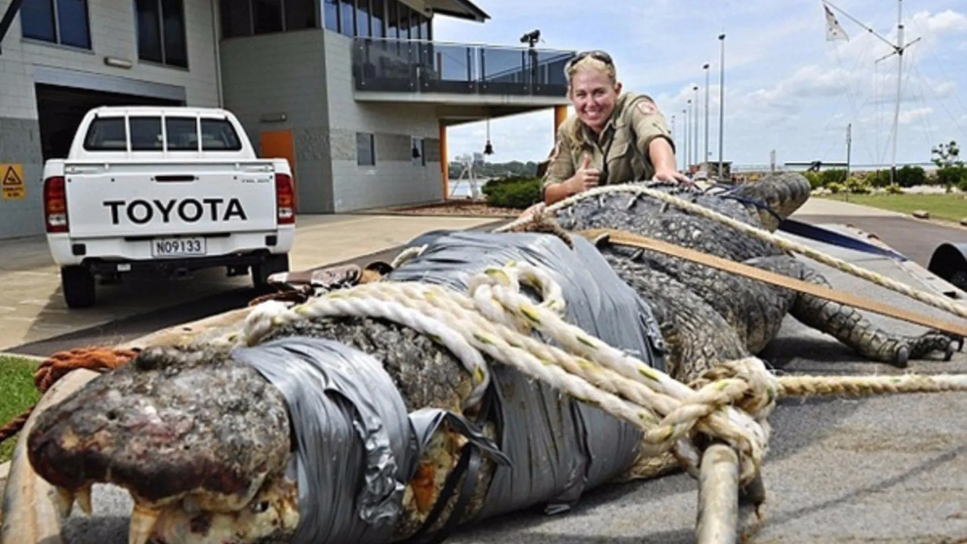 Alguns dos animais mais assustadores (e perigosos) da Austrália