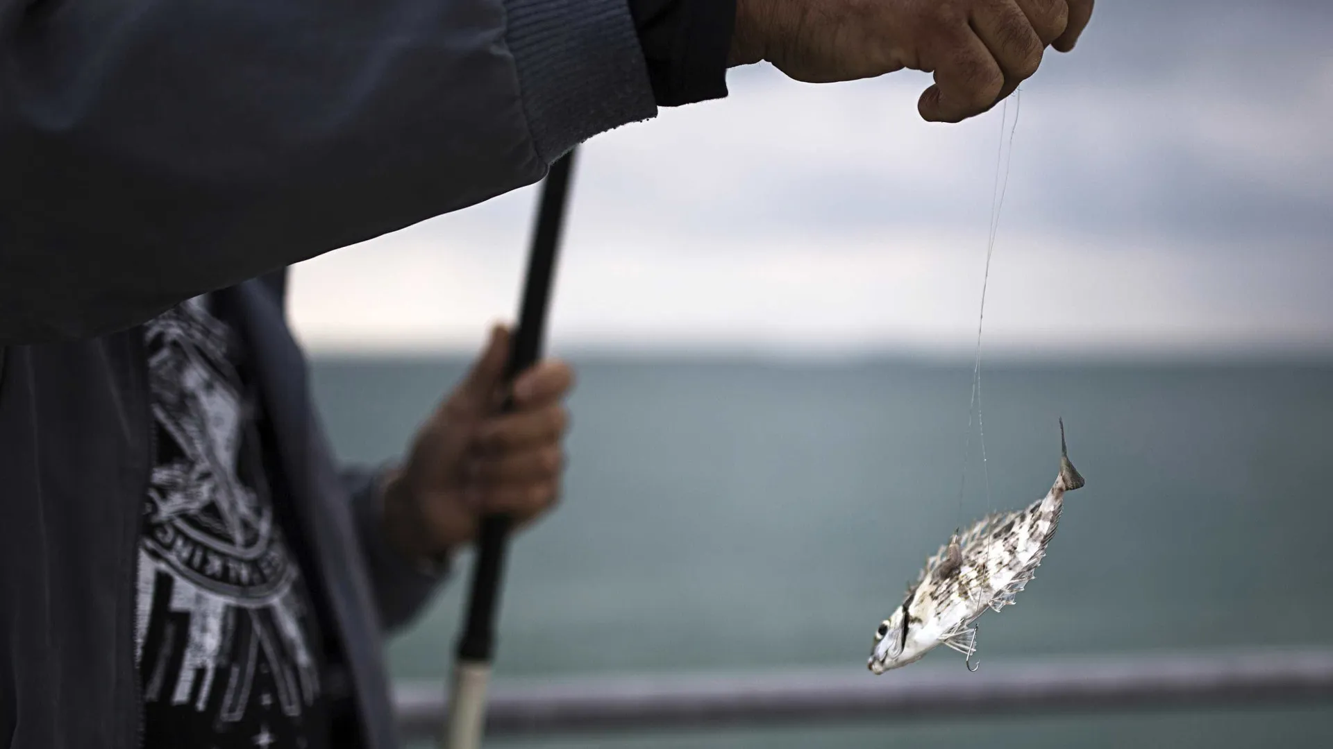 
                    Suspensas buscas pelos três pescadores desaparecidos em Caminha
                