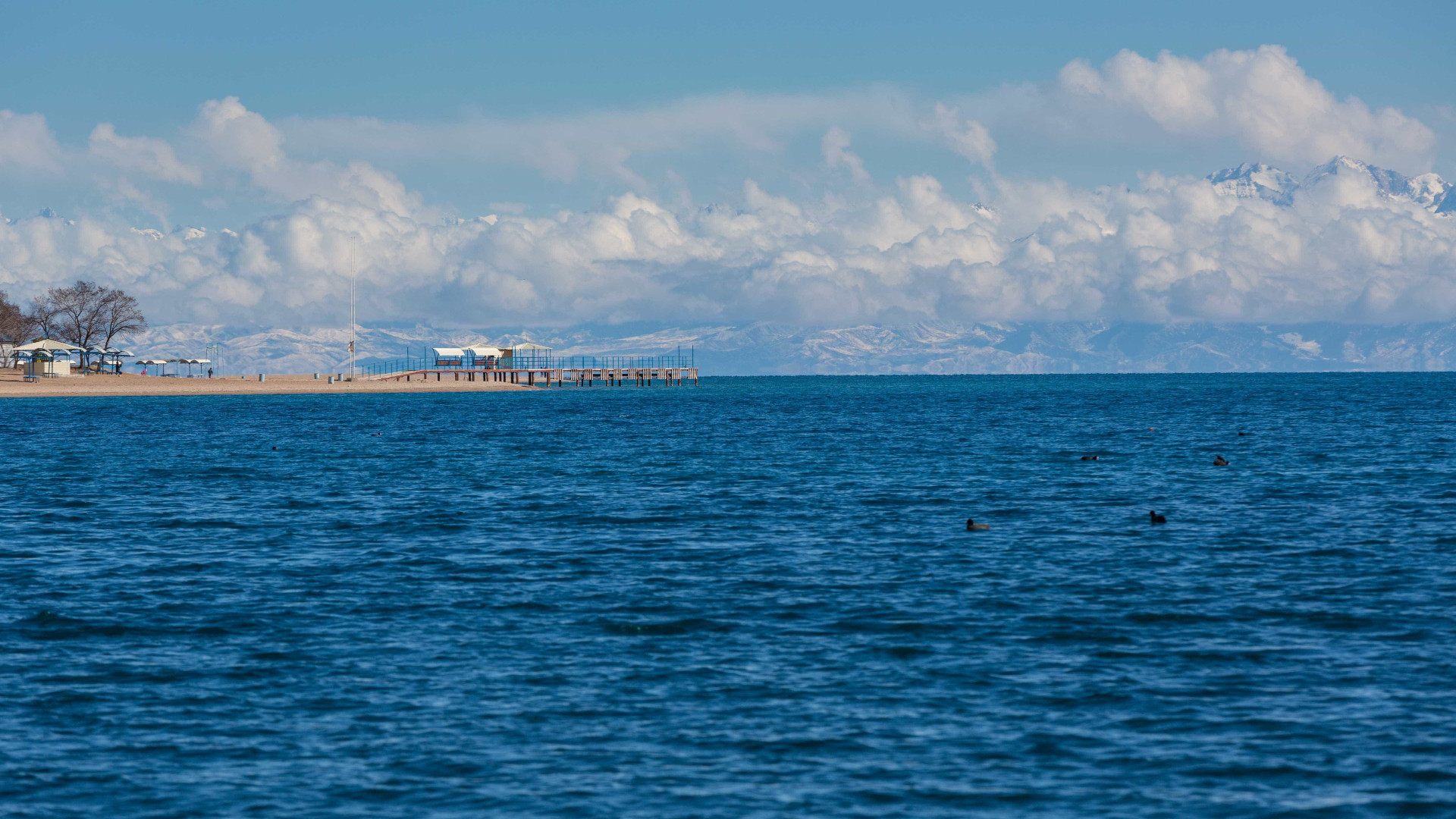 Forúm da economia azul no Mónaco quer garantir restauro do oceano