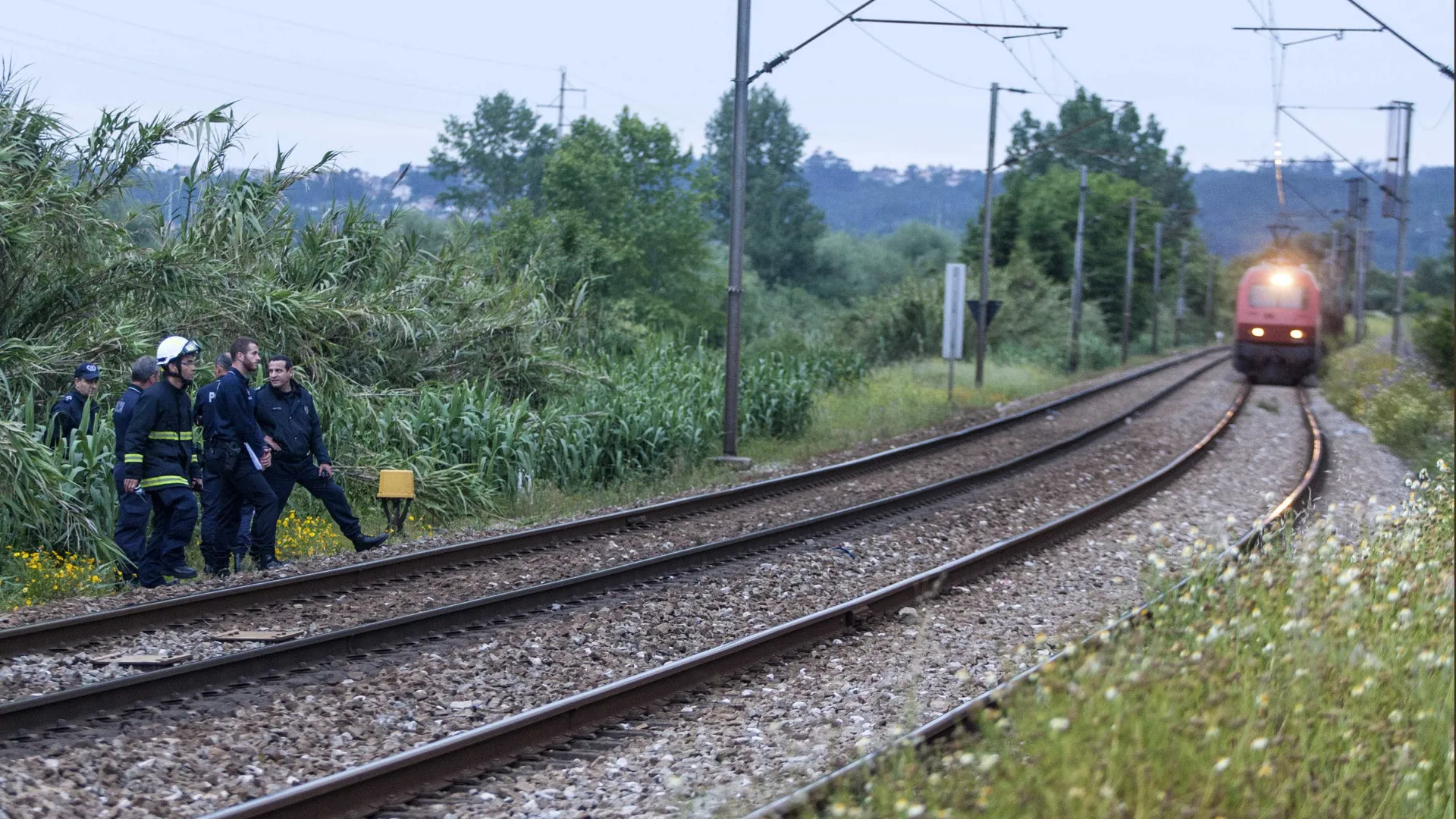 
                    Restabelecida circulação ferroviária entre Ermesinde e Valongo
                