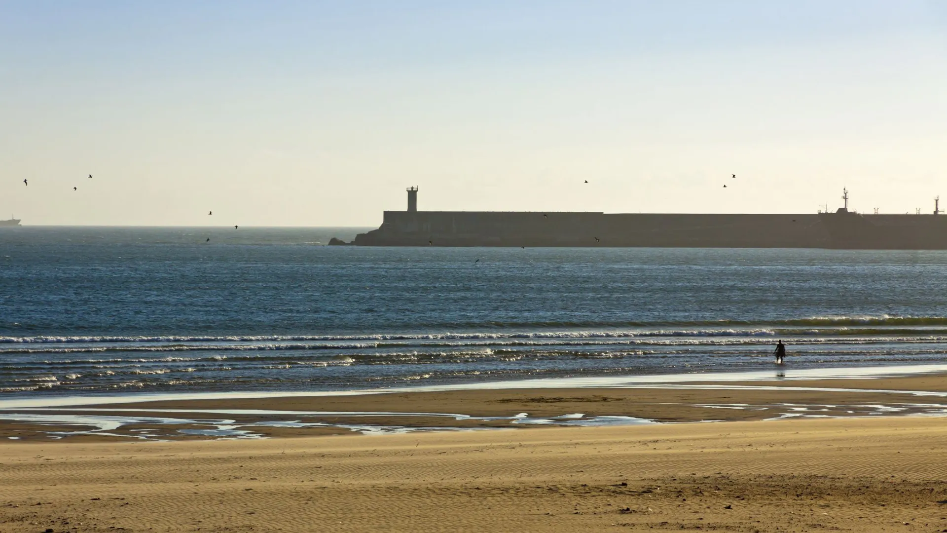 
                    Praia de Matosinhos em risco de não ser zona balnear
                