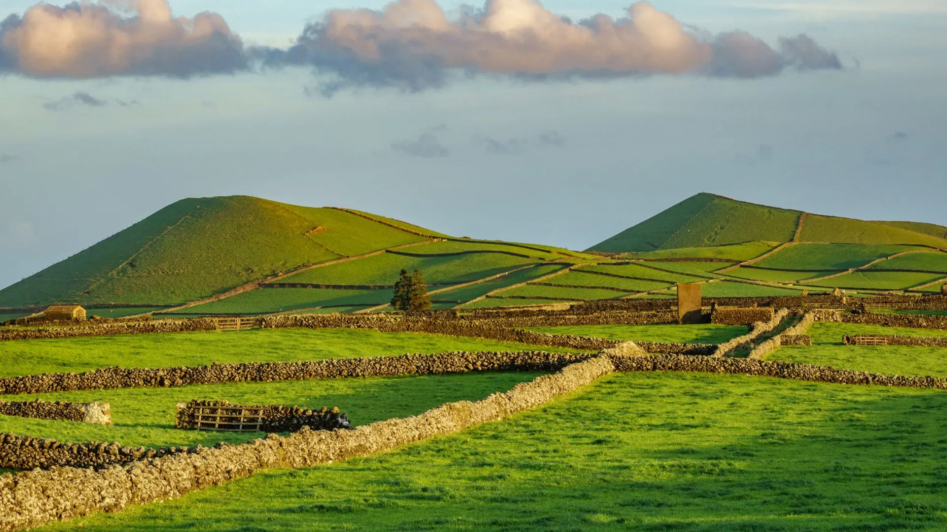 
                    Sismo de magnitude 2,9 na escala de Richter sentido na ilha Terceira
                
