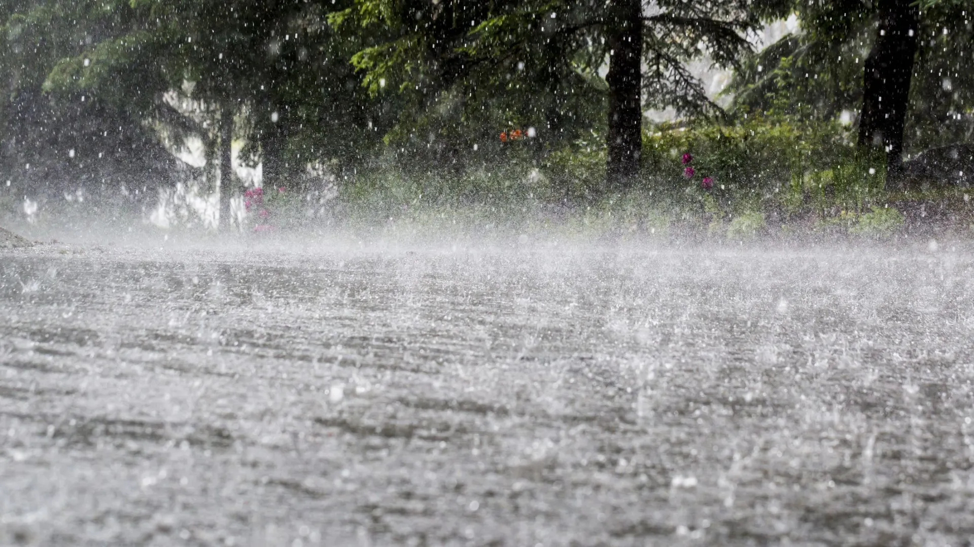 Chuva intensa corta trânsito na frente ribeirinha de Viana do Castelo