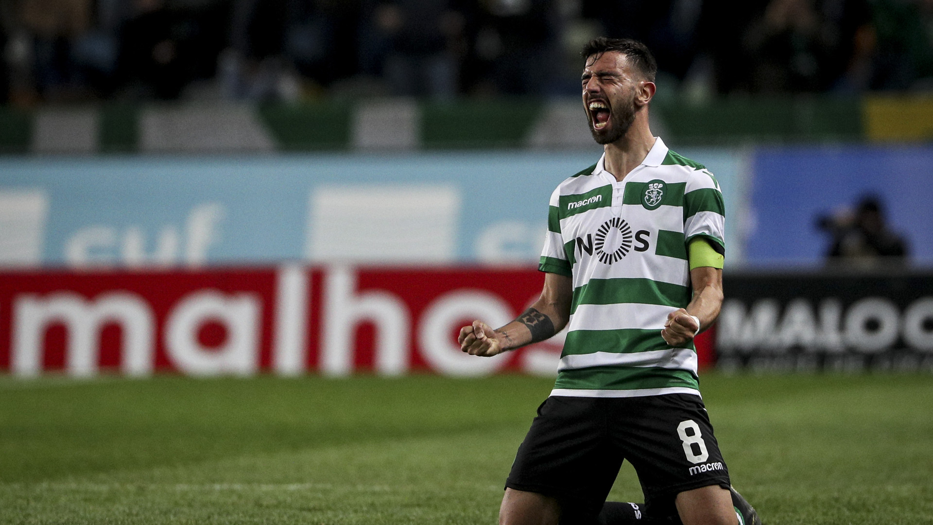 Resultado de imagem para bruno fernandes celebracao