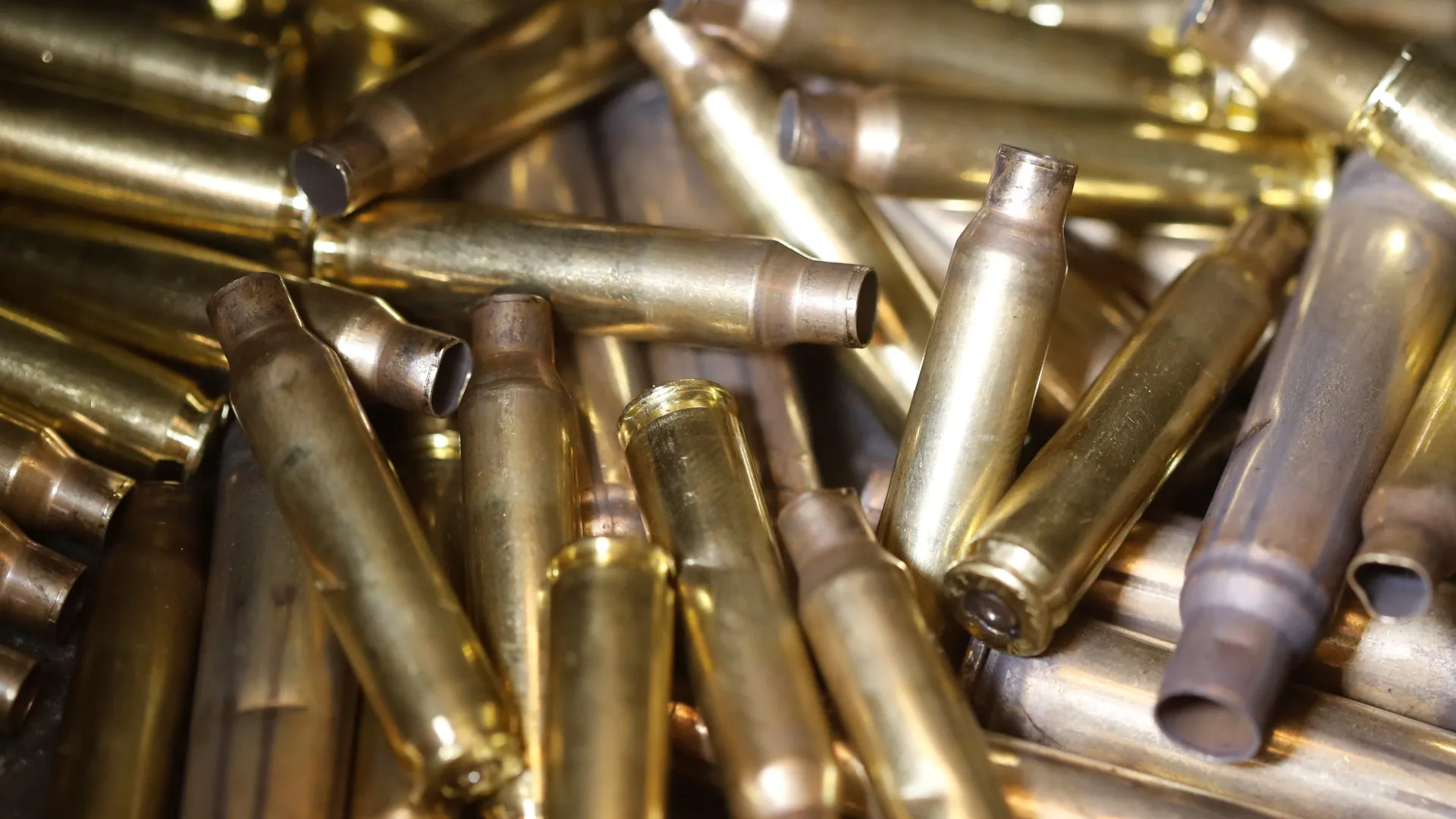 
                    Governador da Florida anuncia incentivos fiscais para o comércio de armas
                