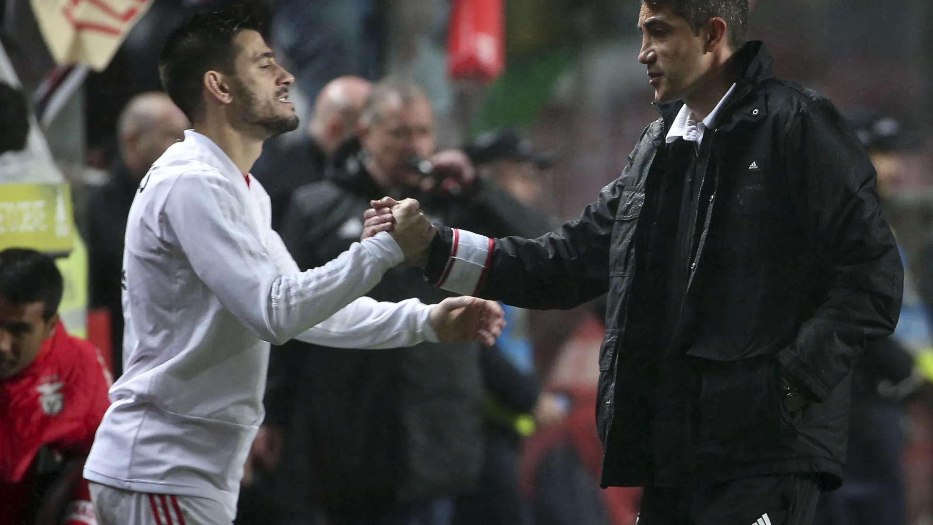 
                    Pizzi analisa saída de Bruno Lage do Benfica: 