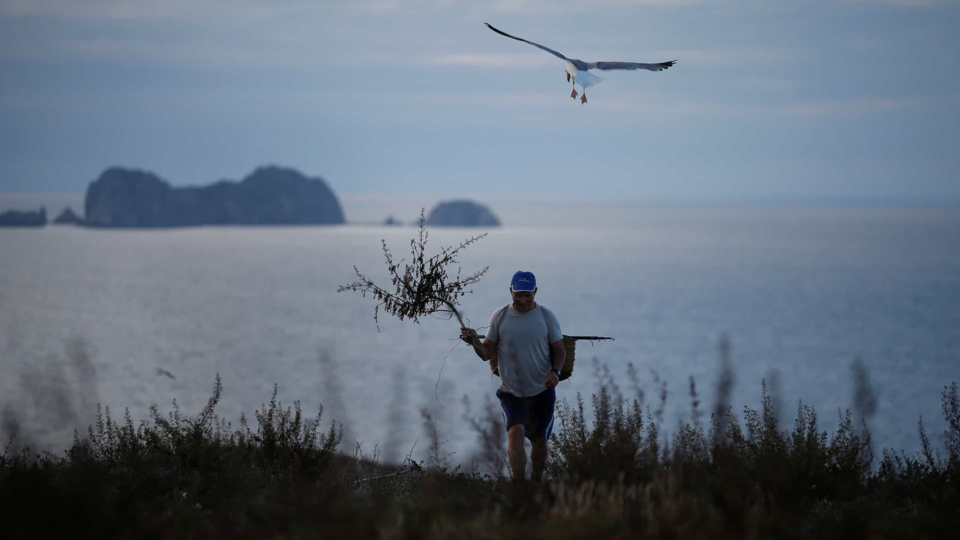 GNR multa por pesca ilegal na Reserva Natural das Berlengas
