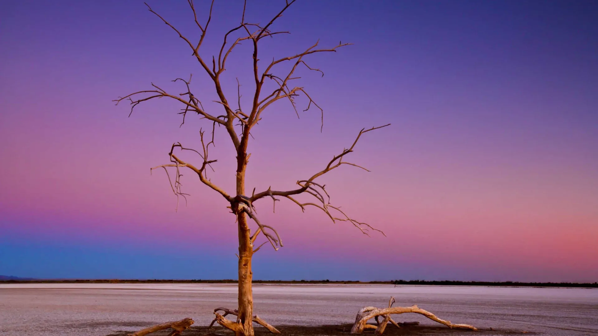 Já conhece o lago Salton Sea? Do paraíso ao purgatório