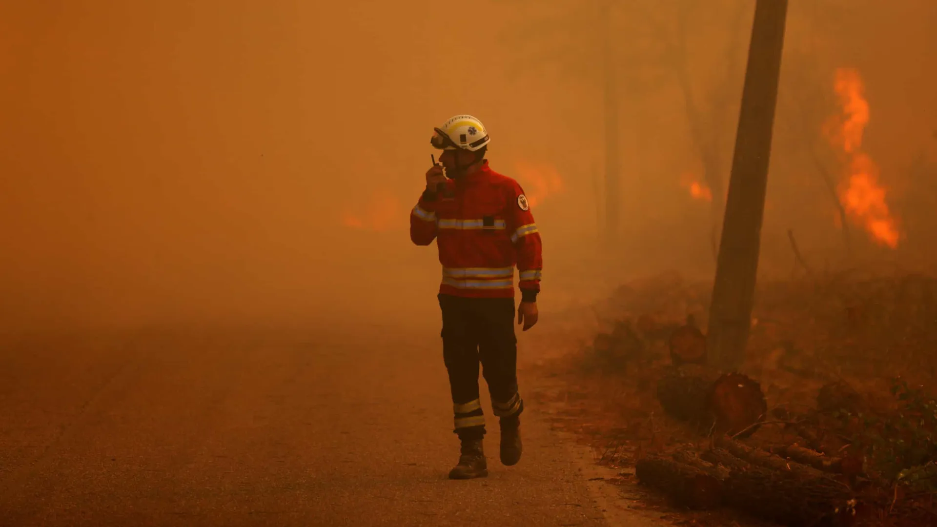 
                    Incêndio: Mais de duas dezenas de pessoas retiradas de casa por precaução
                