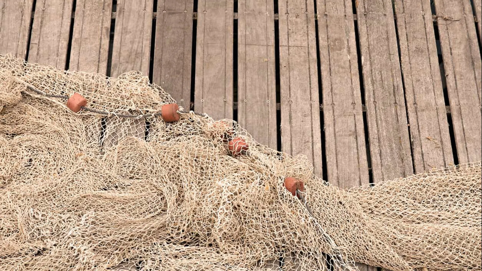 
                    Conselho Europeu aprova acordo de pesca entre UE e Reino Unido para o ano
                