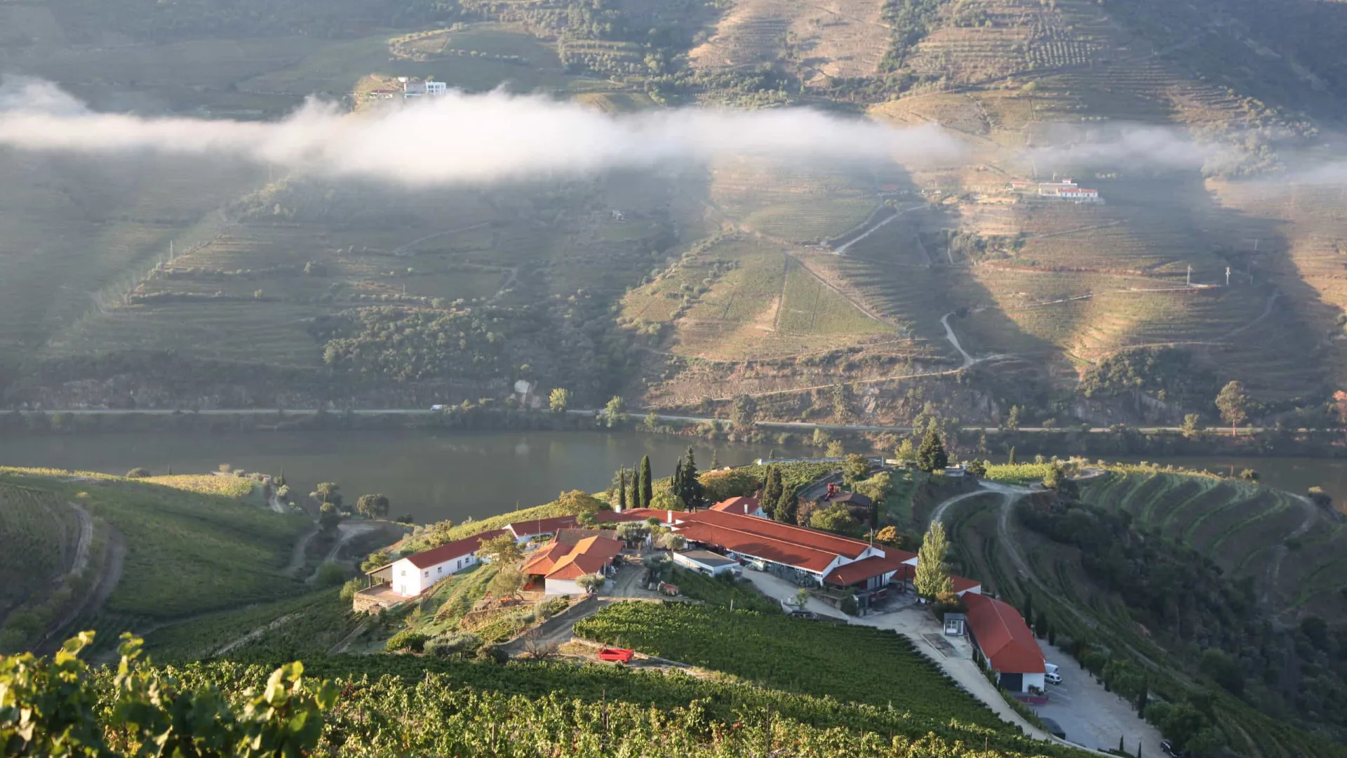 Quinta Nova, um paraíso na terra no coração do Douro