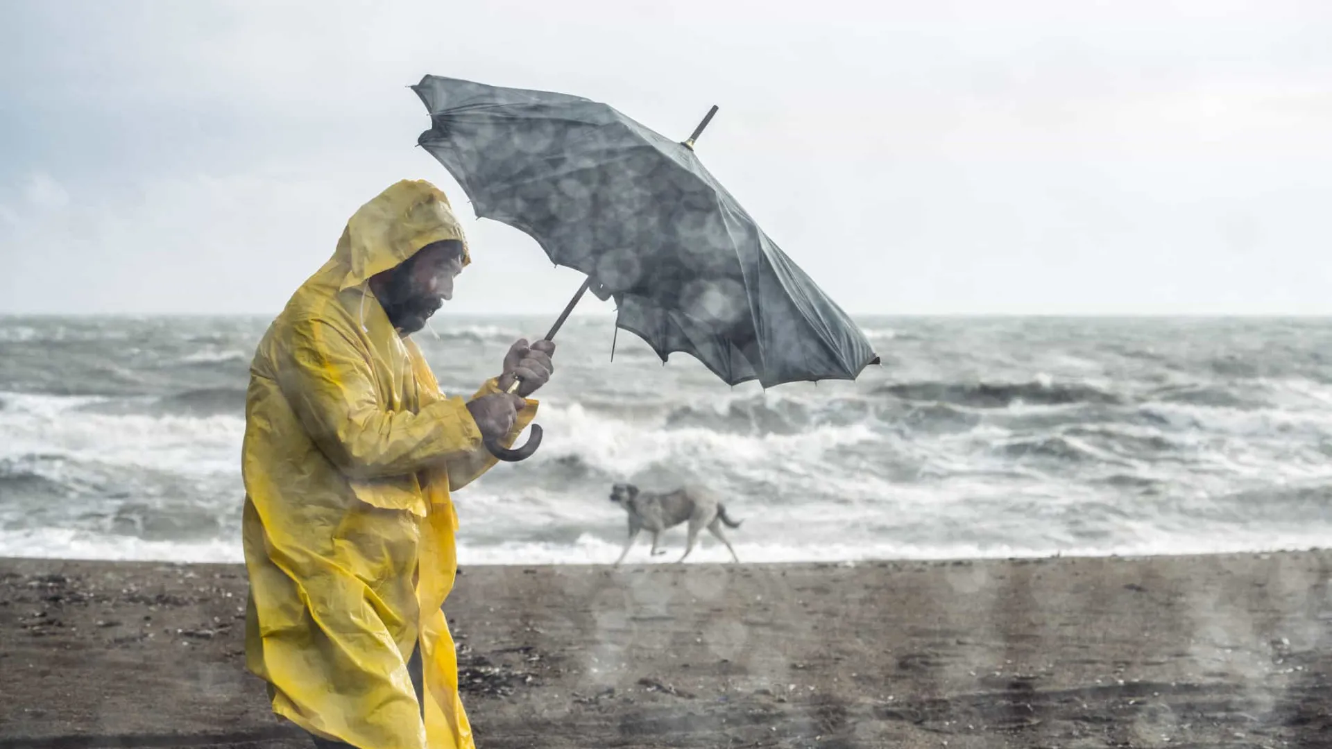 
                    Alerta chuva: Várias distritos sob aviso amarelo até sábado
                