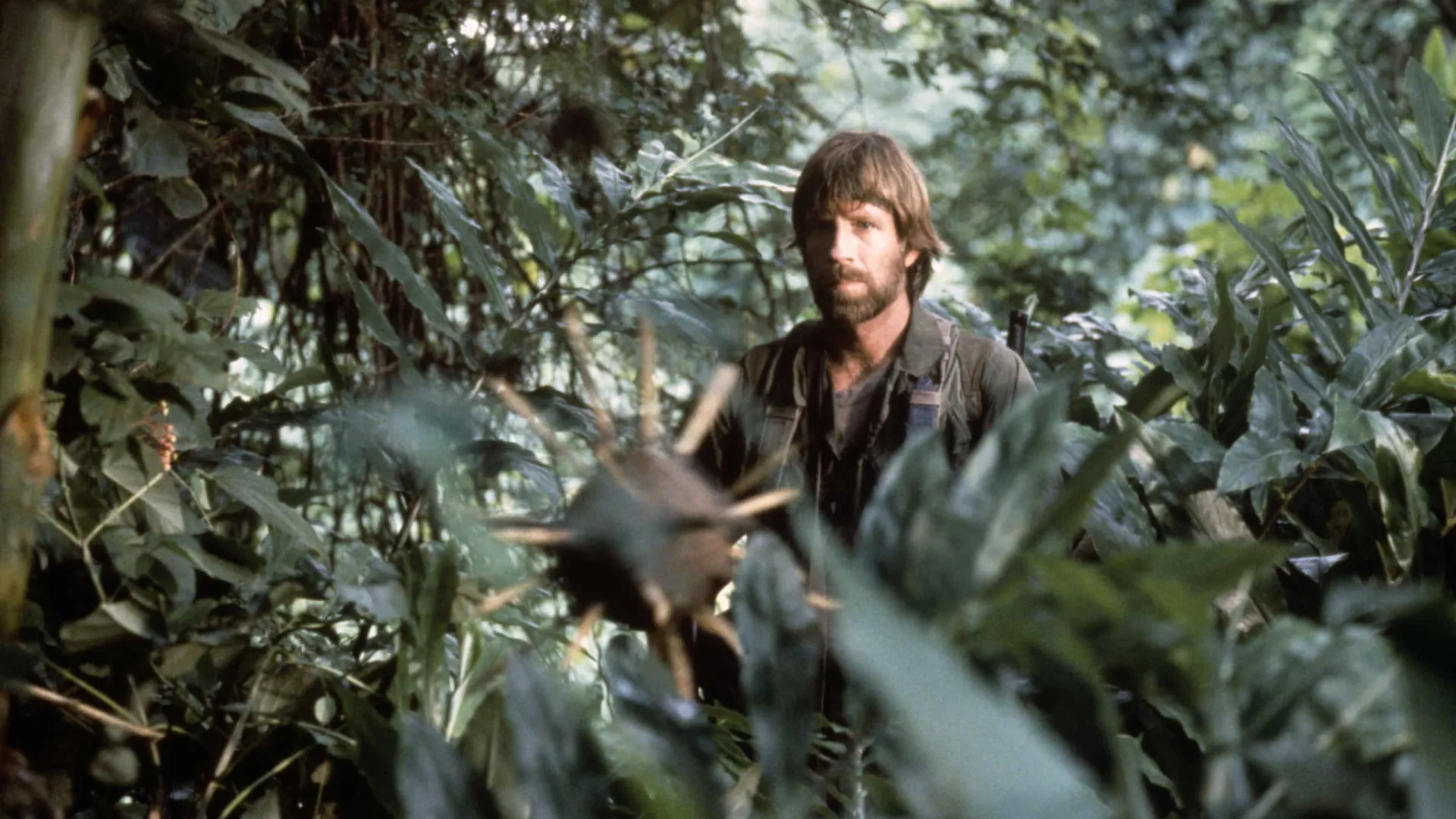 
                    Chuck Norris morre aos 86 anos após ser hospitalizado de urgência
                