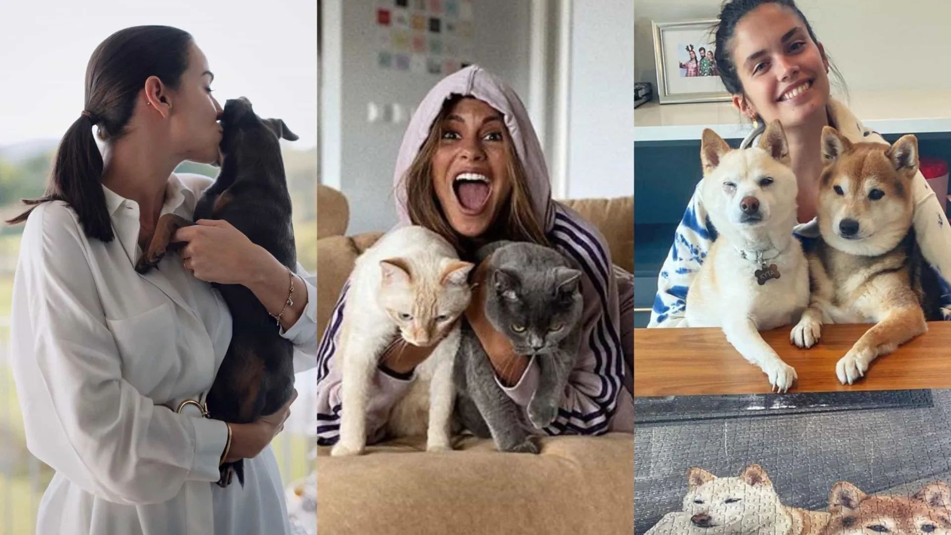 Conheça os companheiros de quatro patas dos famosos