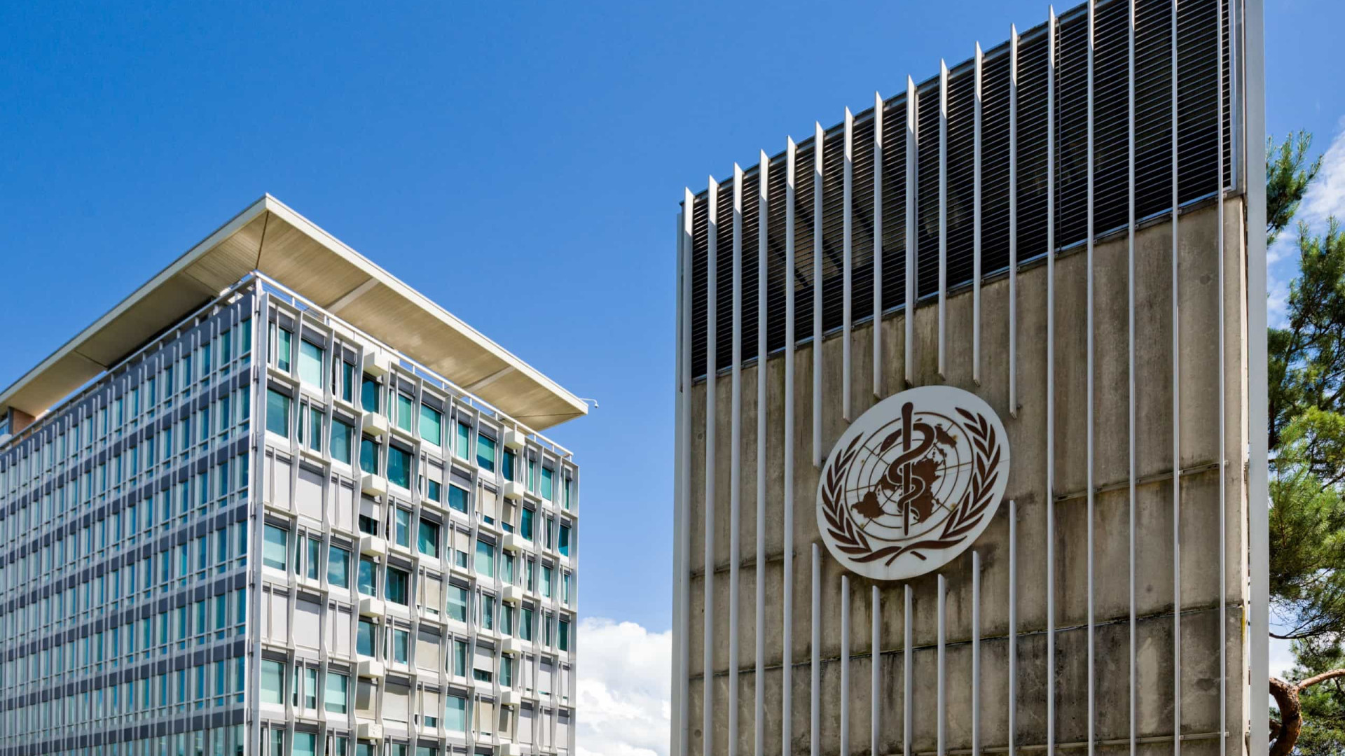 OMS pré-aprova hastear de bandeira da Palestina na sua sede