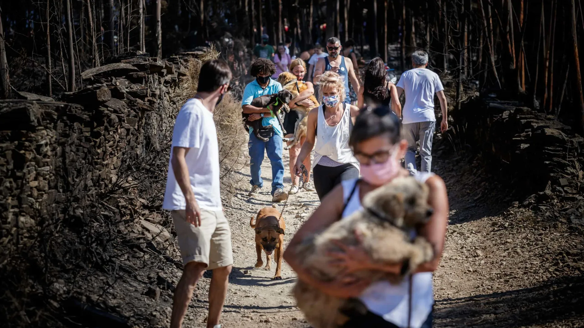 
                    Antiga responsável da Proteção Civil diz ter sido 
