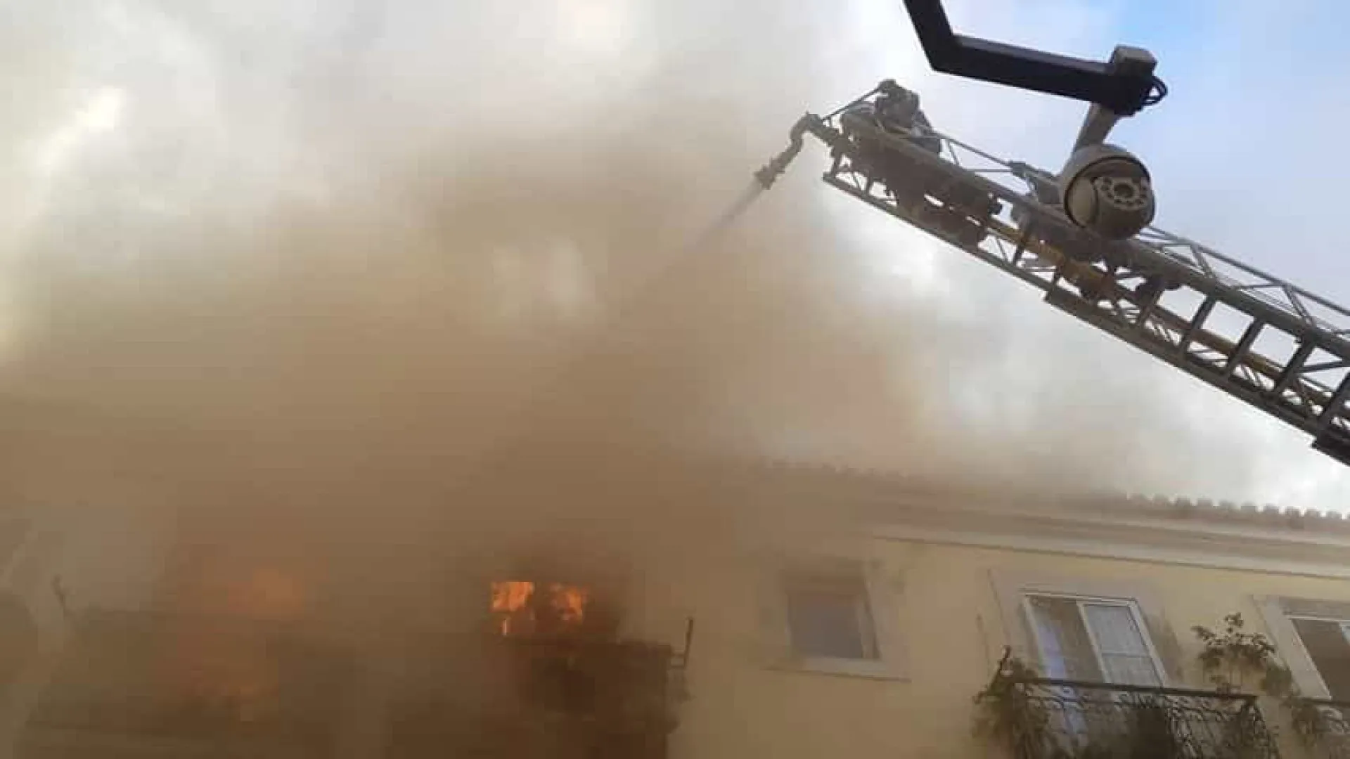 Bombeiros salvam gato após incêndio que atingiu vários prédios em Lisboa